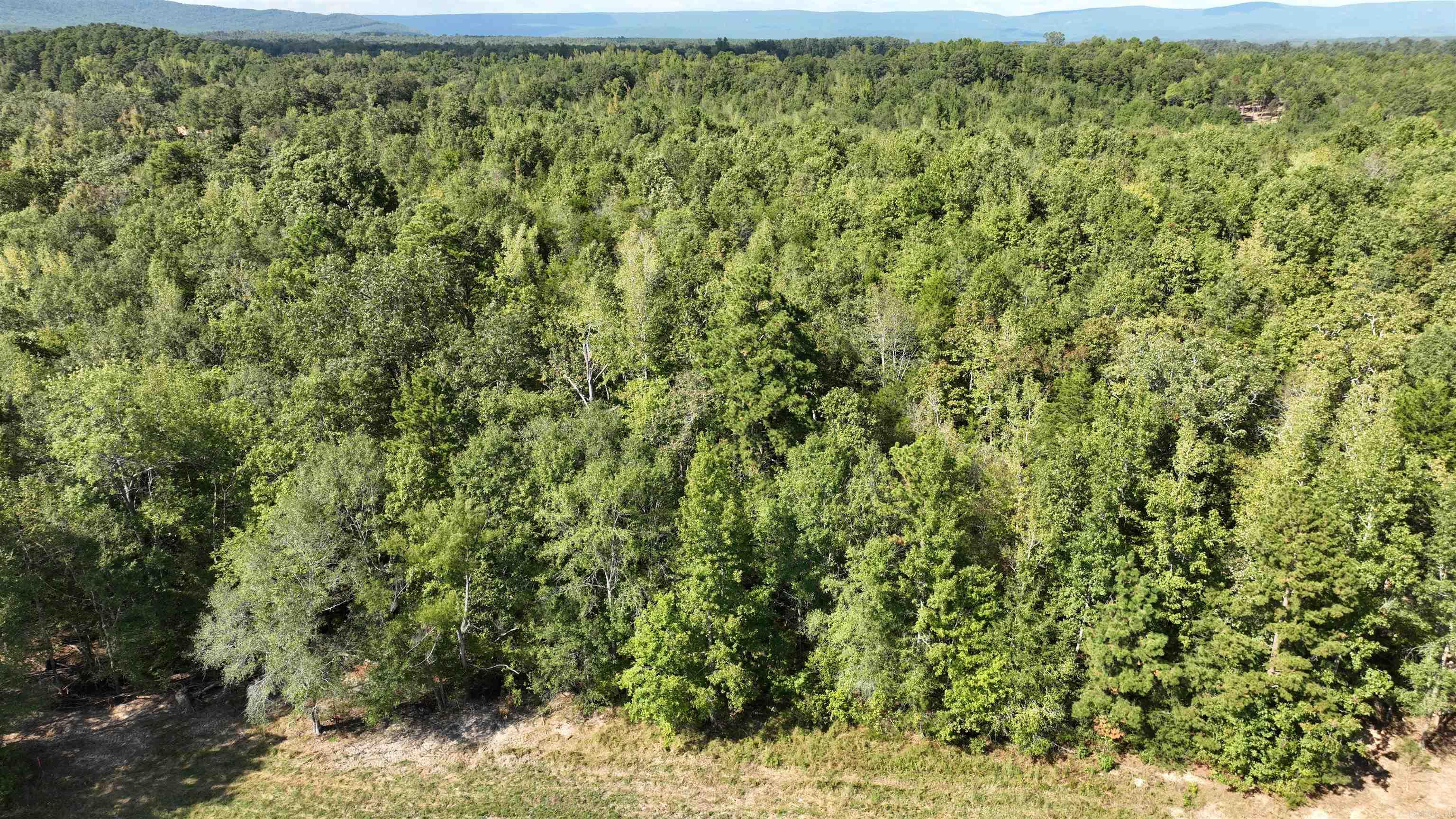 TBD, Tract 2  Polk Road 158  Mena, AR