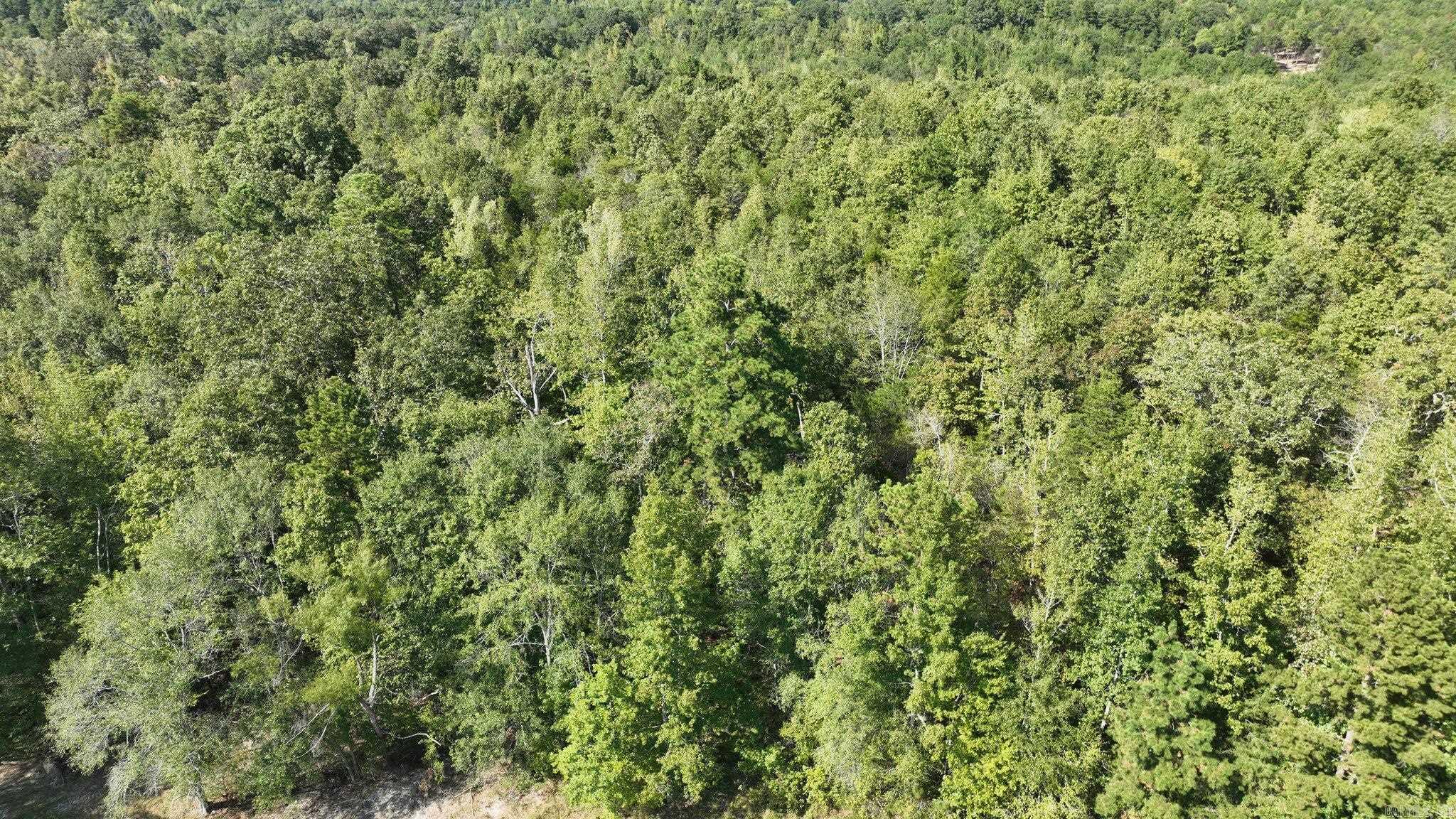 TBD, Tract 2  Polk Road 158  Mena, AR