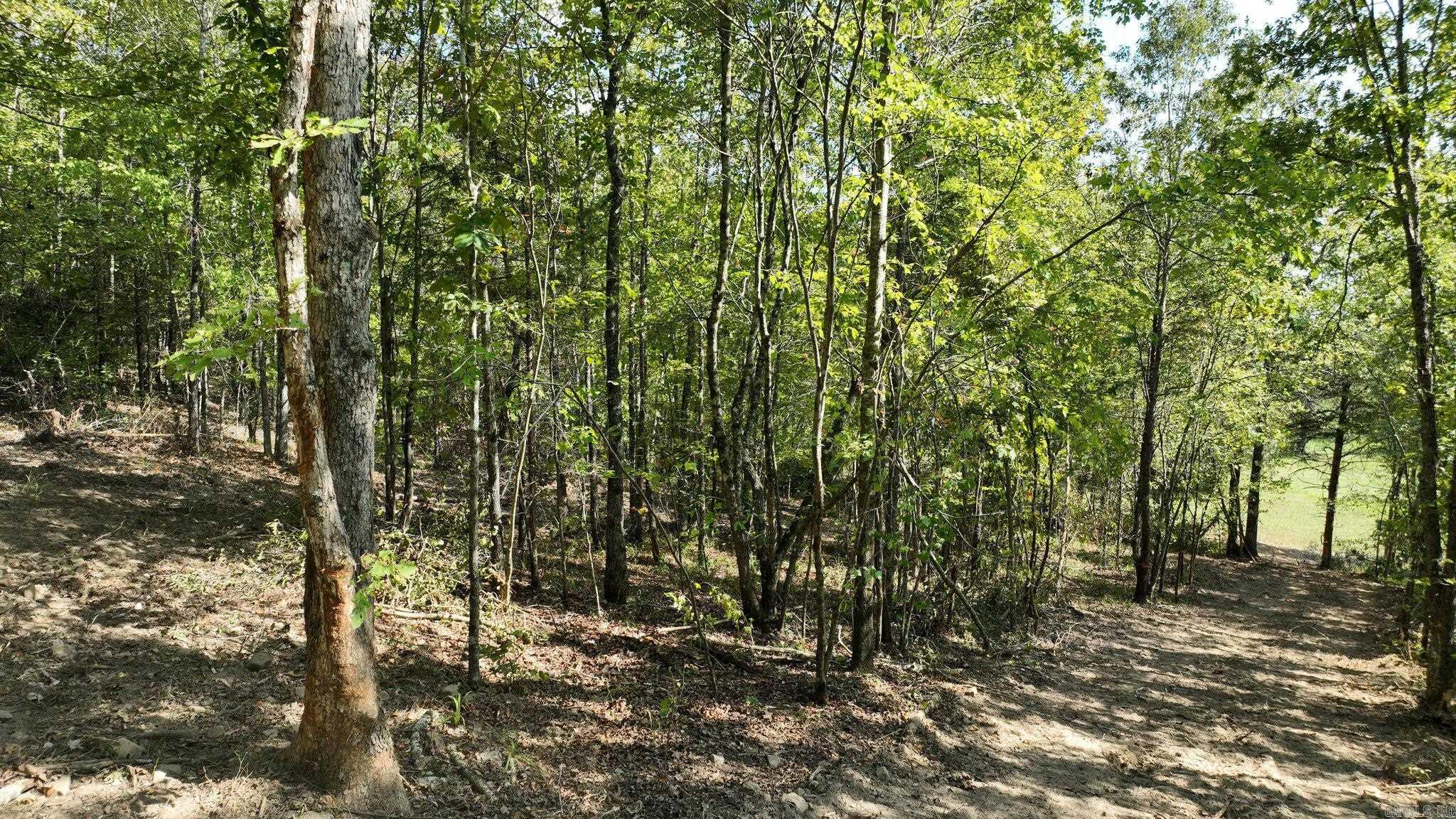 TBD, Tract 2  Polk Road 158  Mena, AR