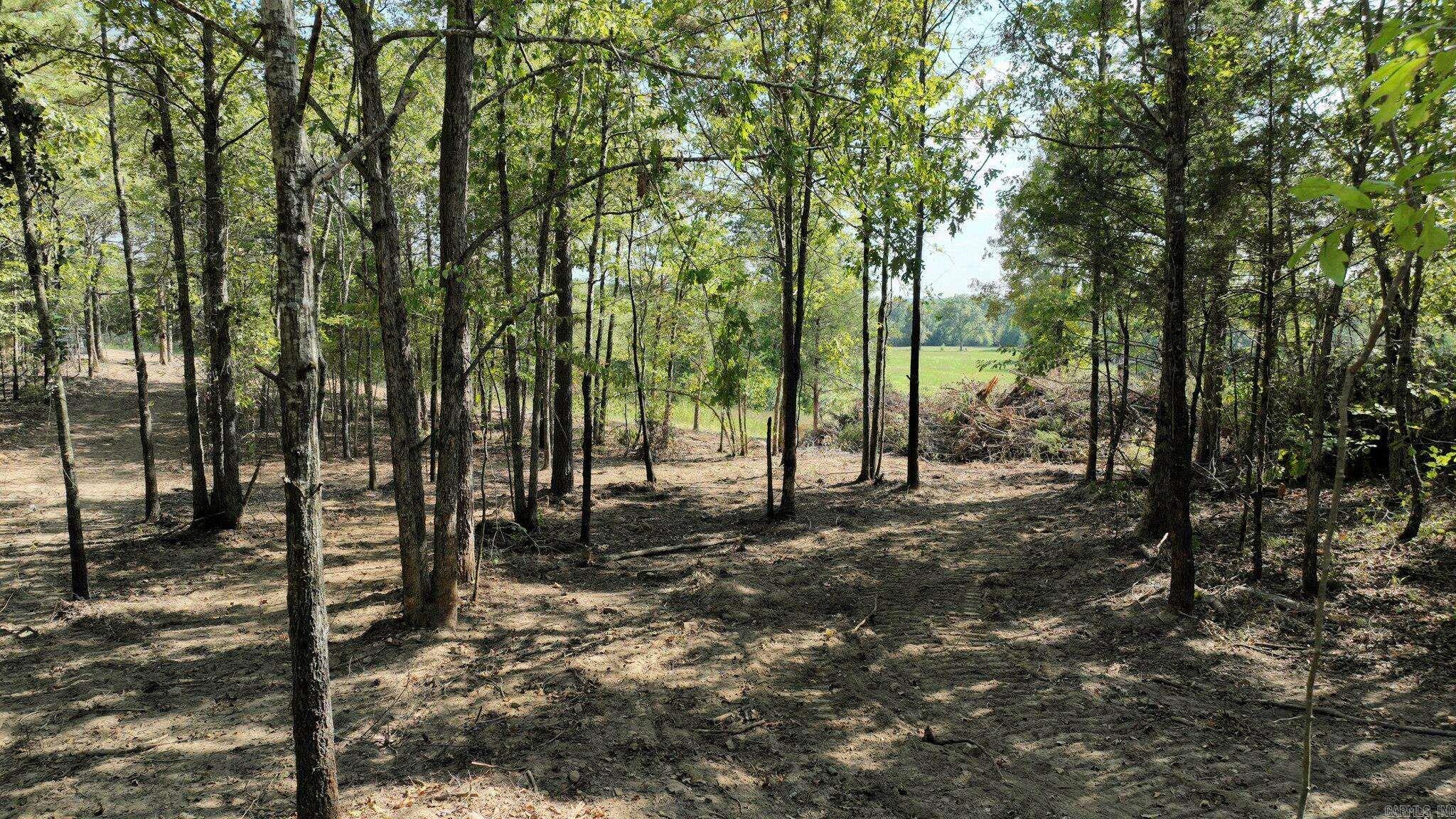 TBD, Tract 3  Polk Road 158  Mena, AR