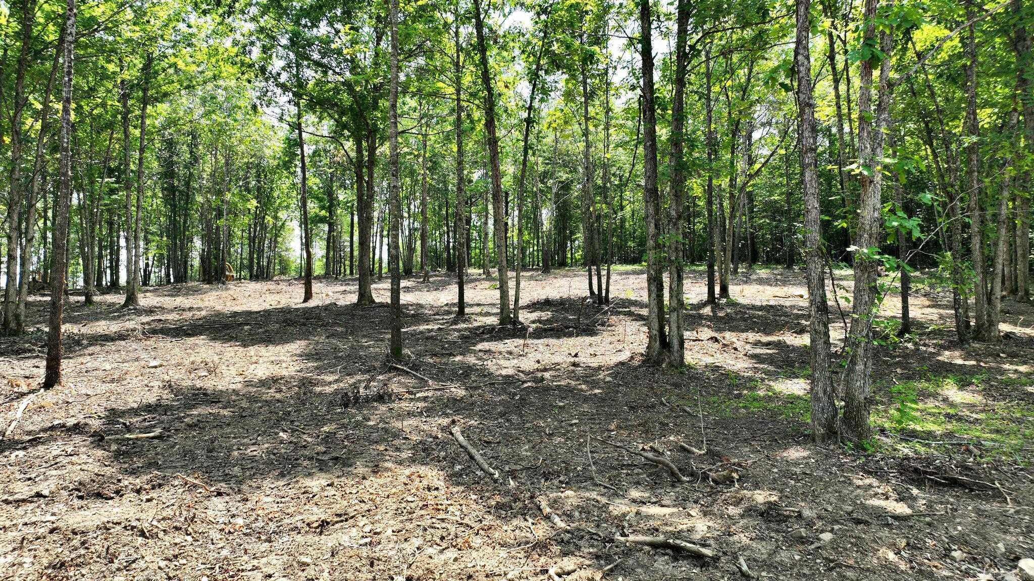 TBD, Tract 3 Polk Road 158  Mena, AR