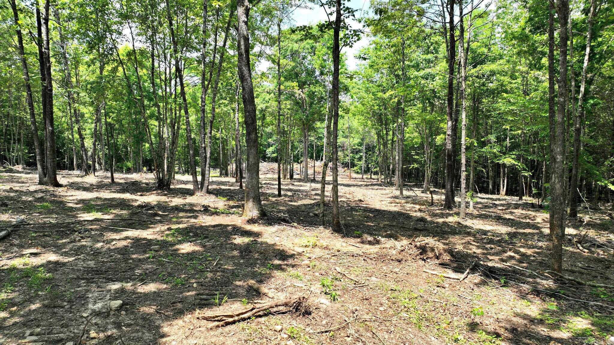 TBD, Tract 3 Polk Road 158  Mena, AR