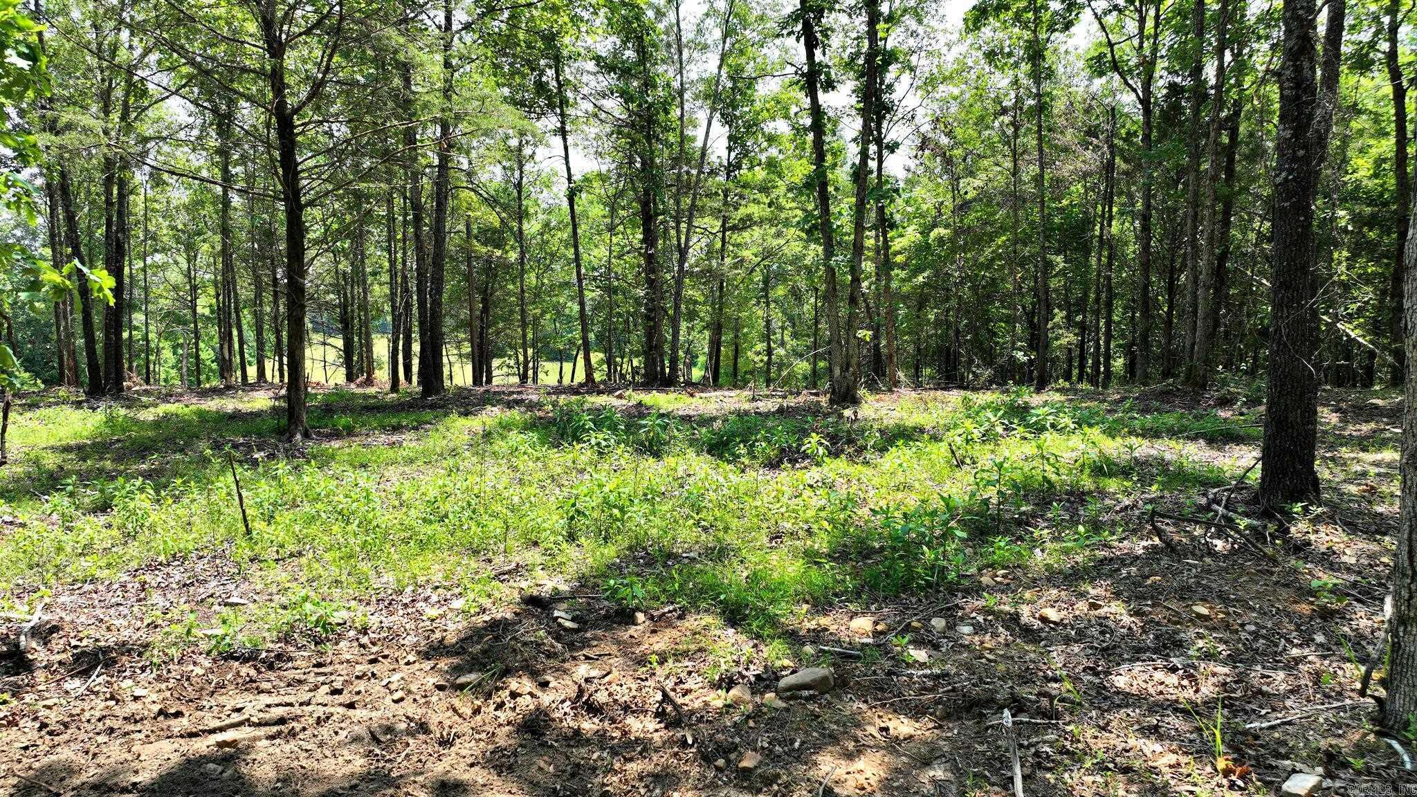 TBD, Tract 3 Polk Road 158  Mena, AR
