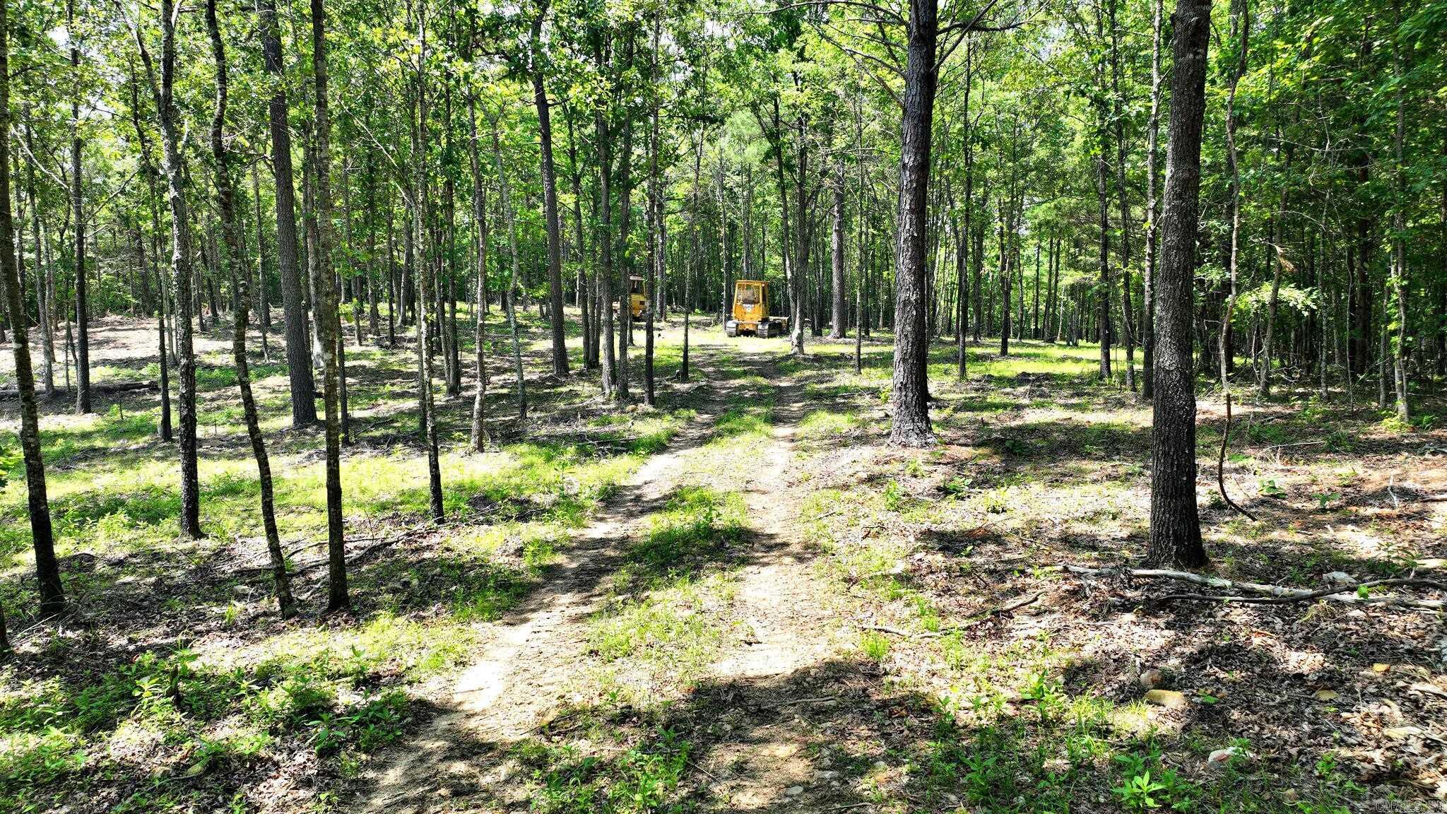 TBD, Tract 3 Polk Road 158  Mena, AR