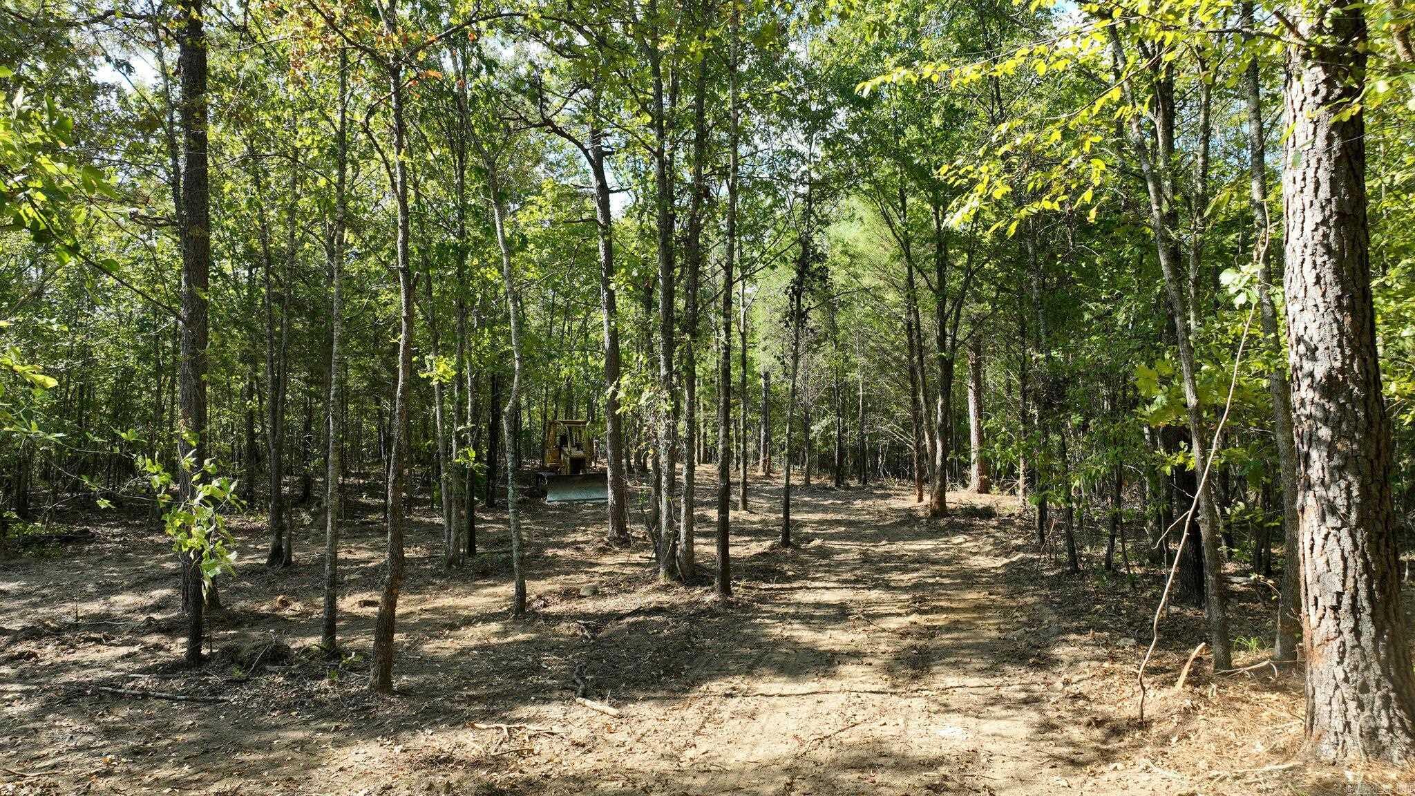 TBD, Tract 3  Polk Road 158  Mena, AR