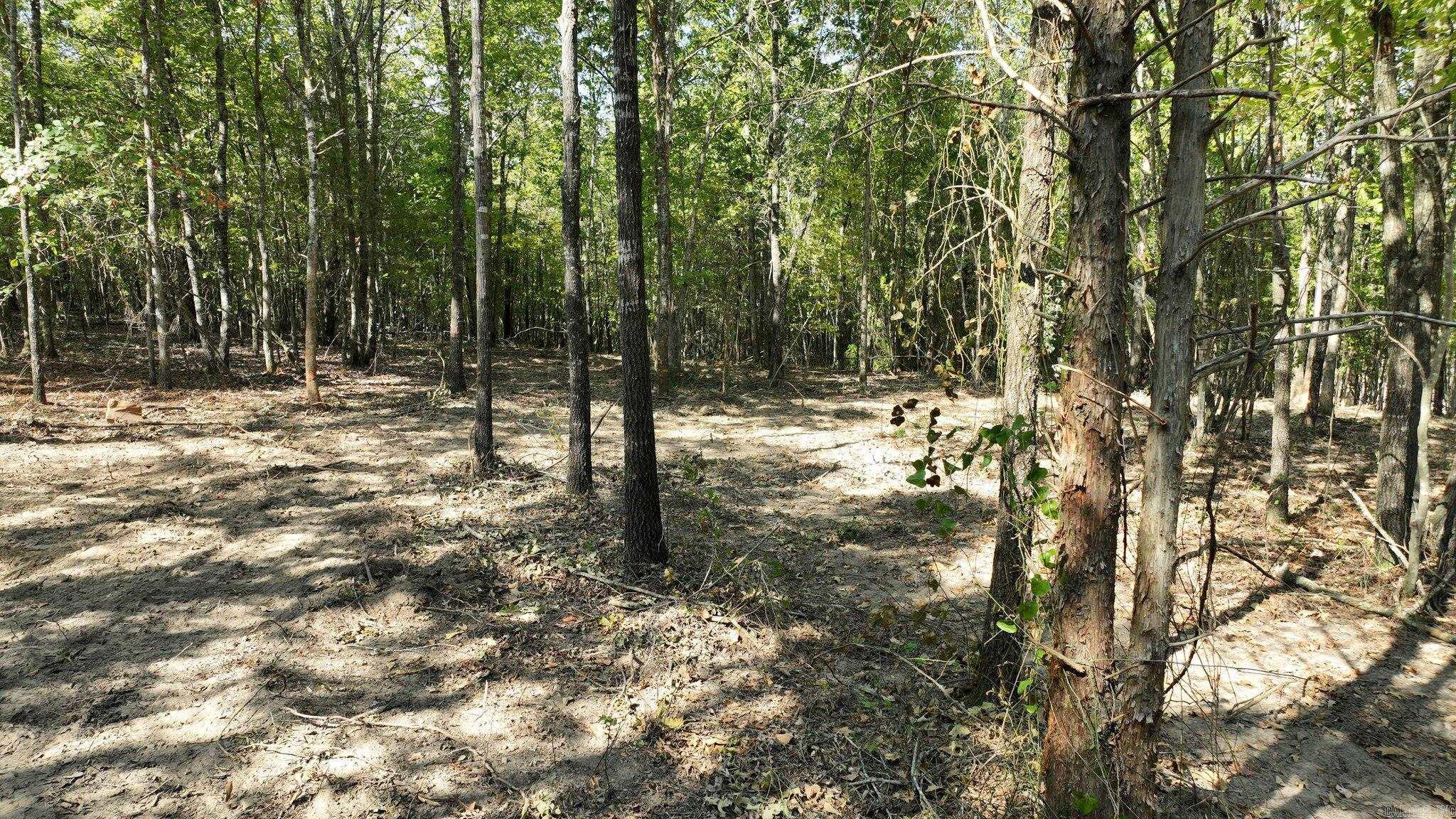 TBD, Tract 3  Polk Road 158  Mena, AR