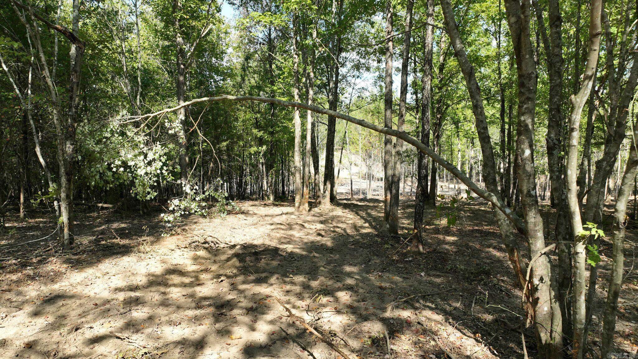 TBD, Tract 3  Polk Road 158  Mena, AR