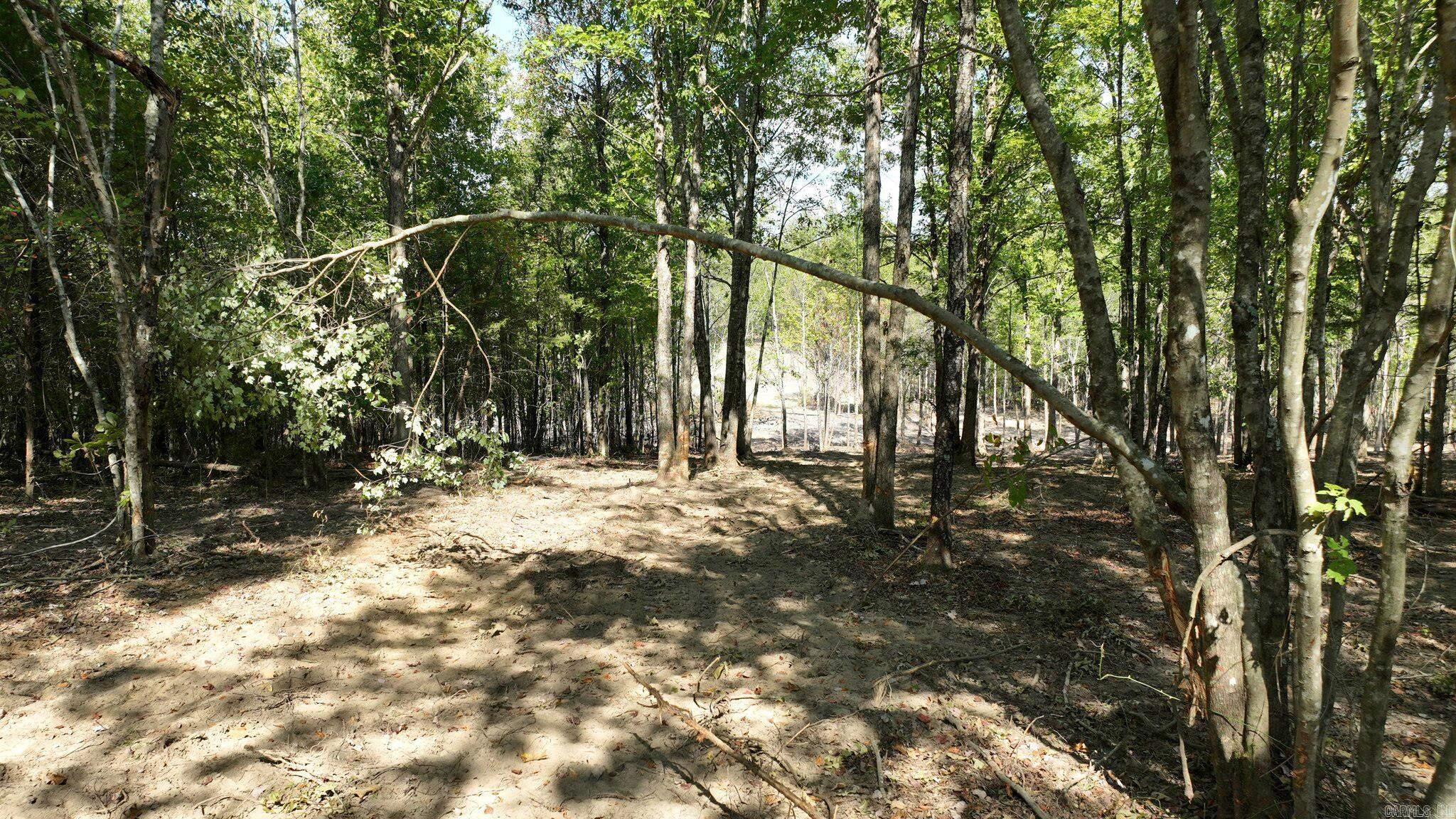 TBD, Tract 3  Polk Road 158  Mena, AR