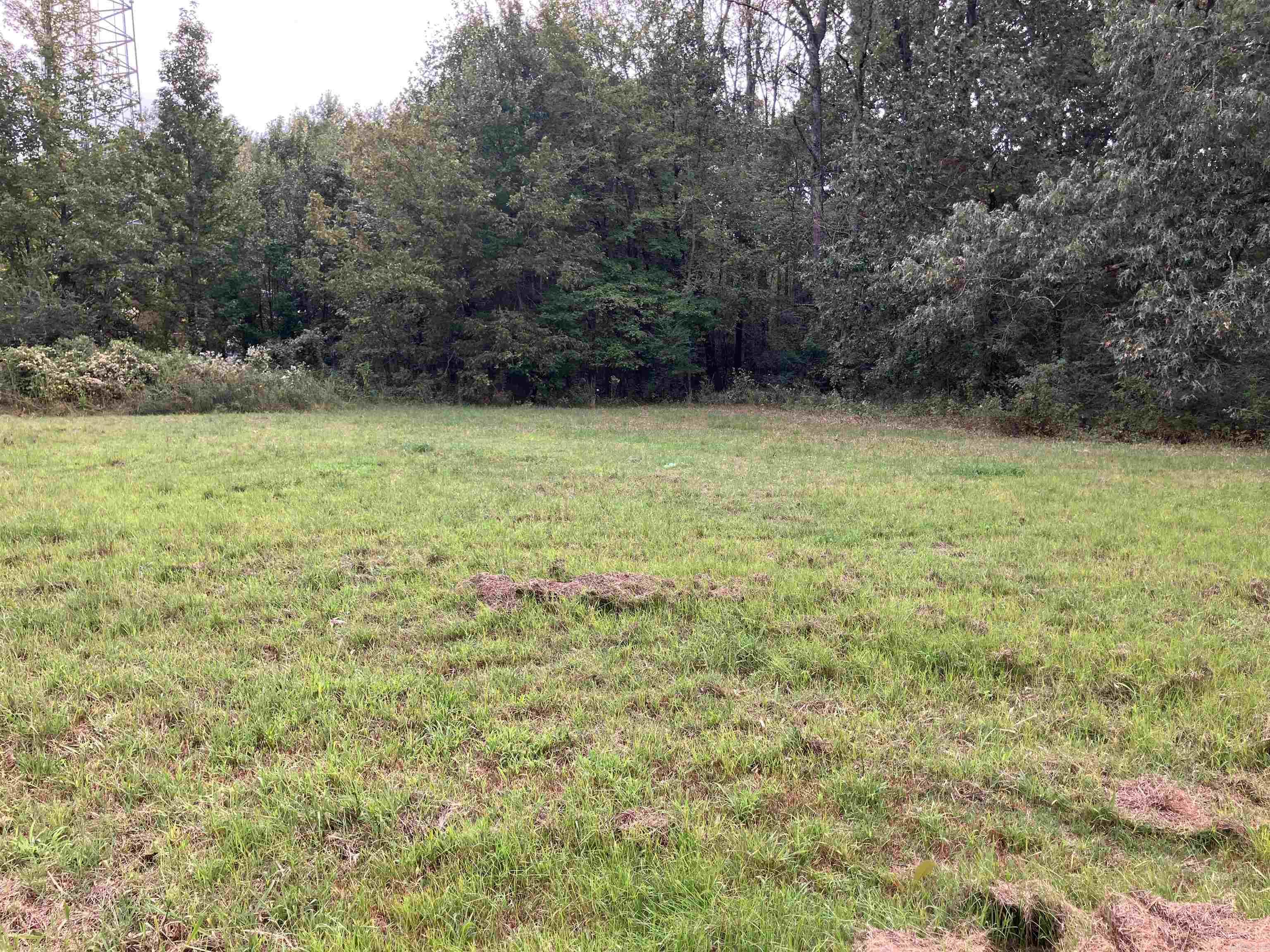 802  Greenwood  Searcy, AR