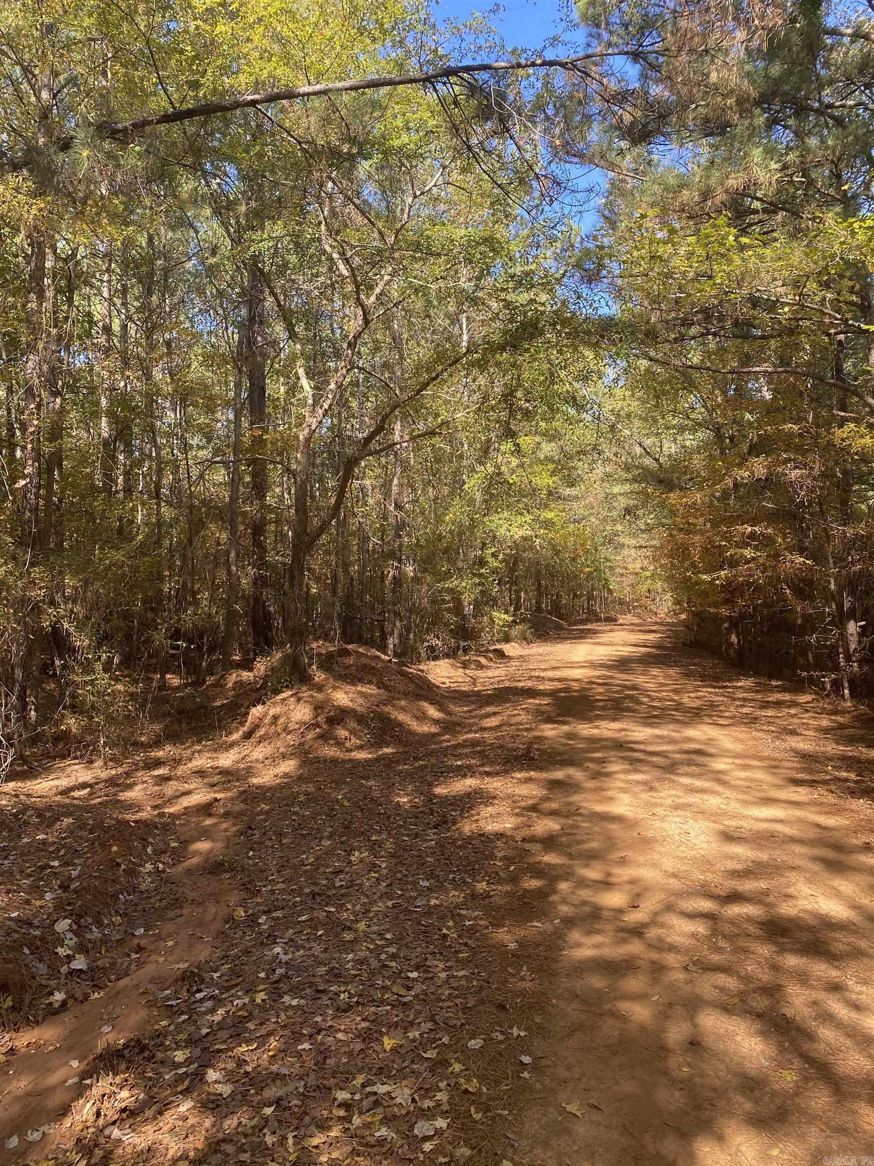   Mercer Bayou  Fouke, AR