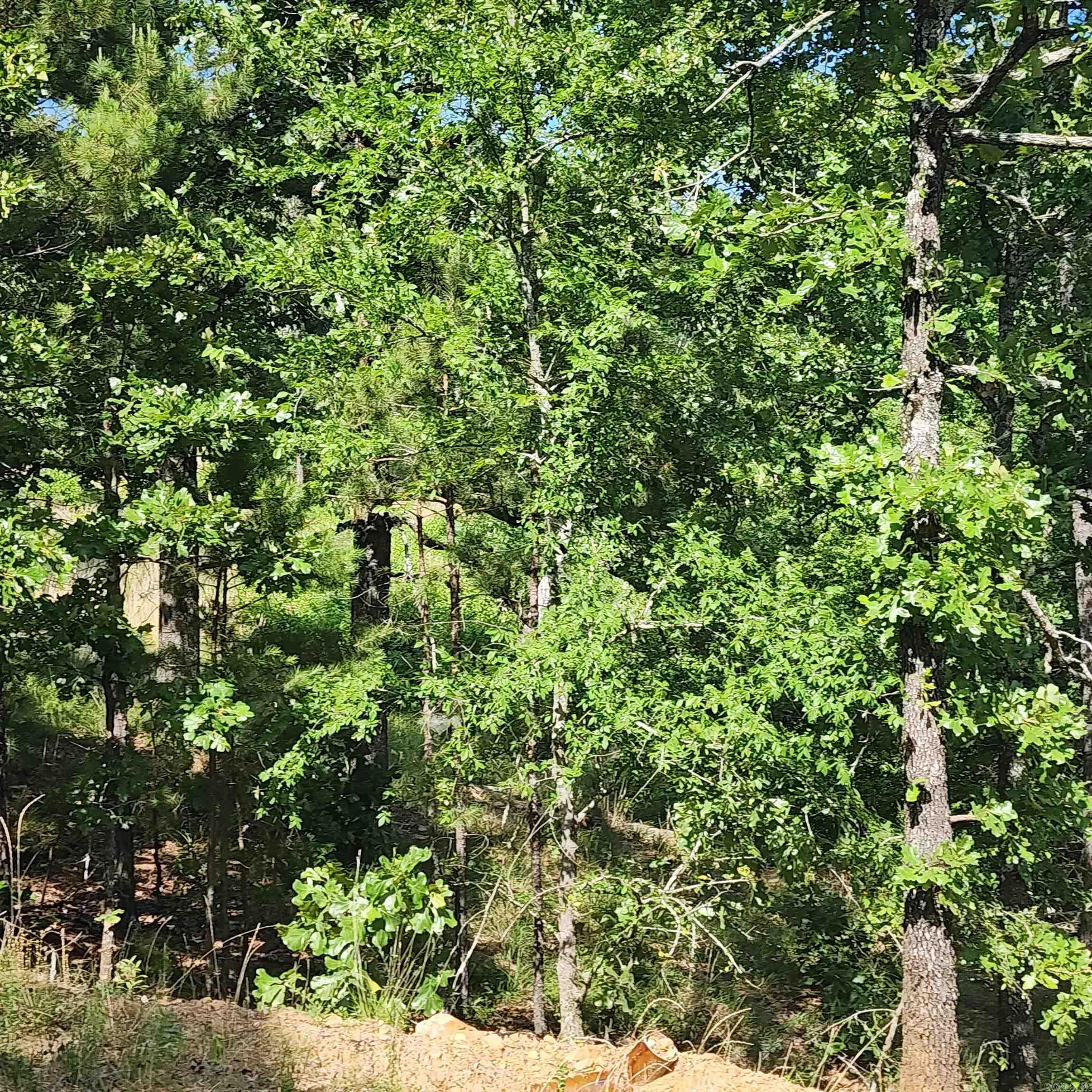 14000  Mountain River  North Little Rock, AR