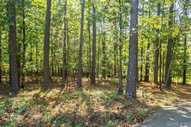12  Purista Lane  Hot Springs Village, AR