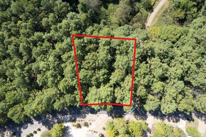 12 Purista Lane  Hot Springs Village, AR