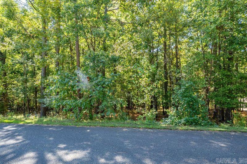 12  Purista Lane  Hot Springs Village, AR