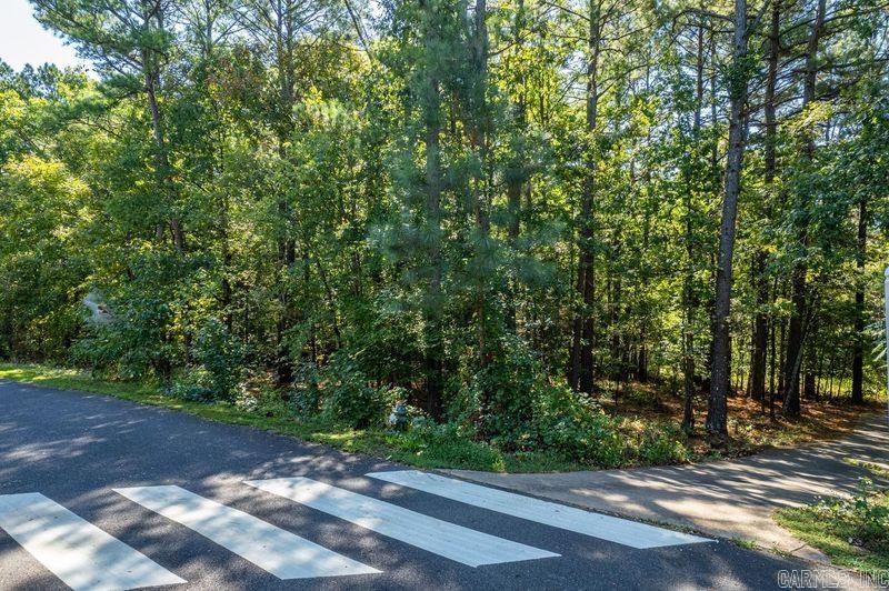 12 Purista Lane  Hot Springs Village, AR
