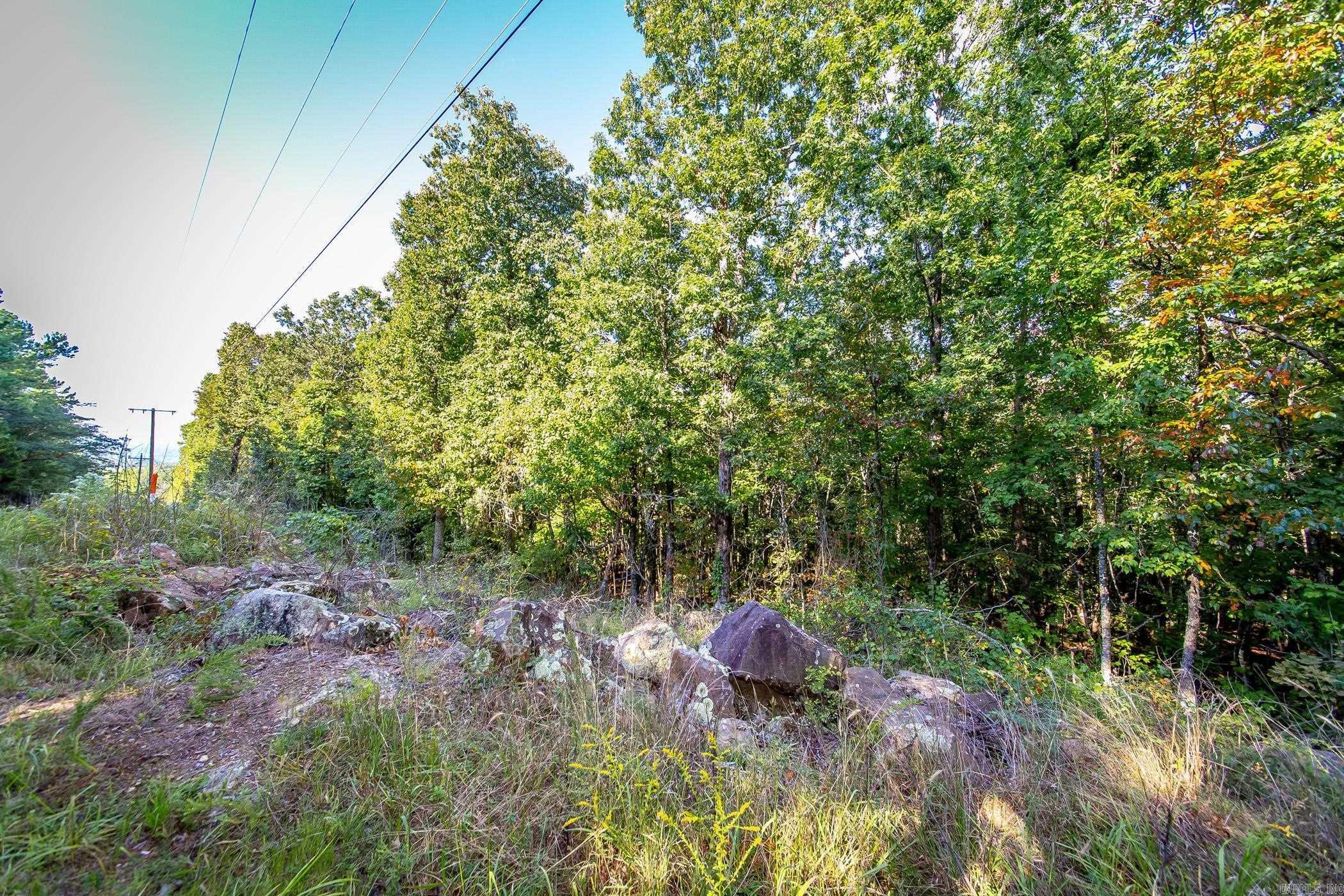 0  Hwy 65 N & 110  Botkinburg, AR