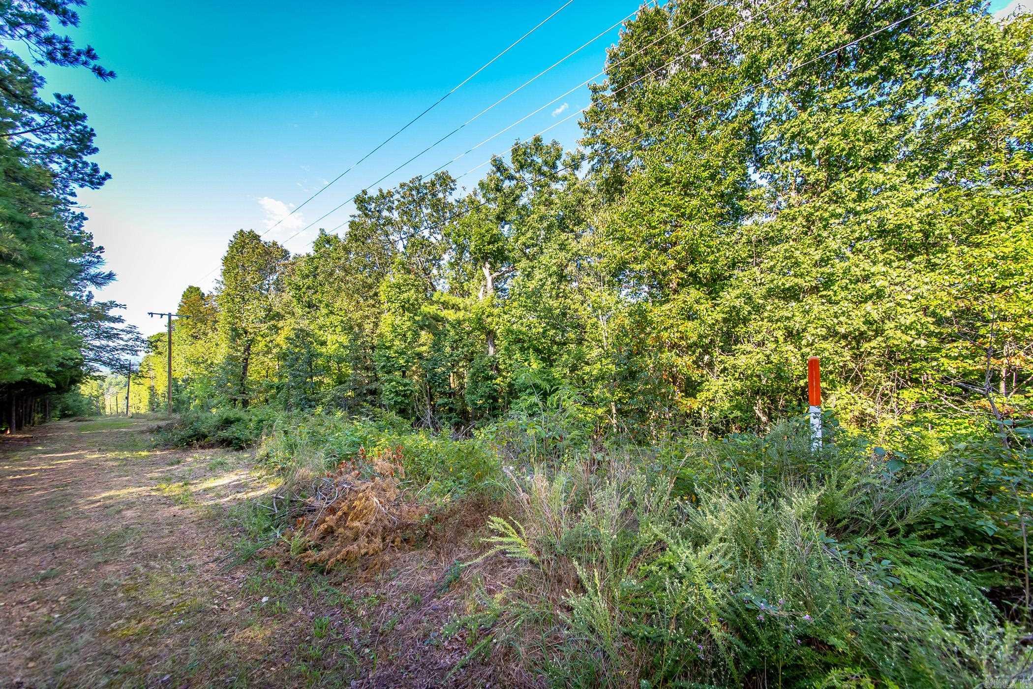 0  Hwy 65 N & 110  Botkinburg, AR