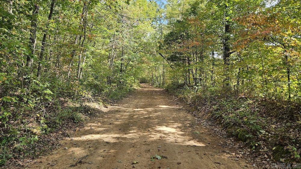 232 Acres+/-  Crossroads Rd  Compton, AR
