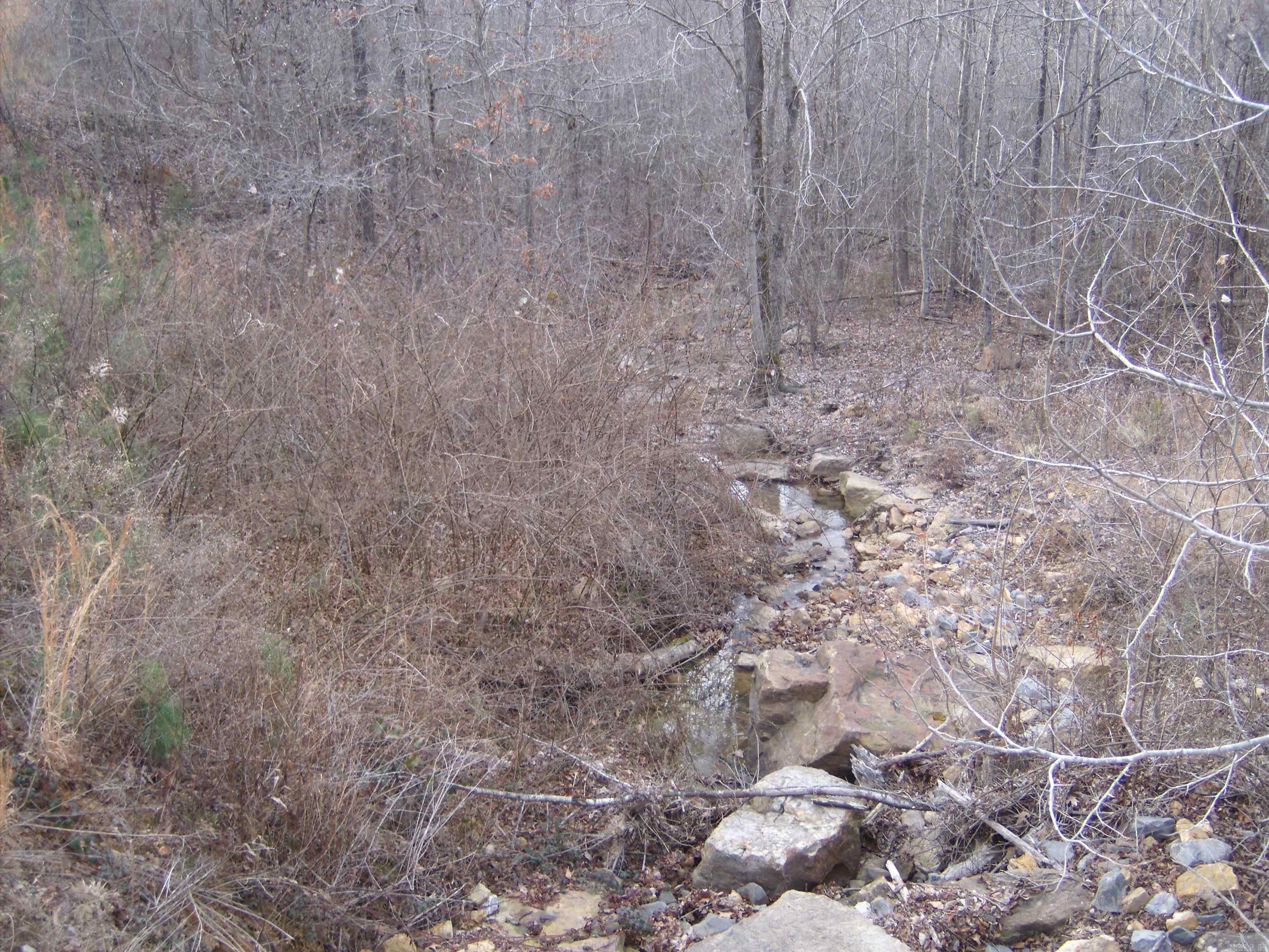00  Bullard Road  Concord, AR