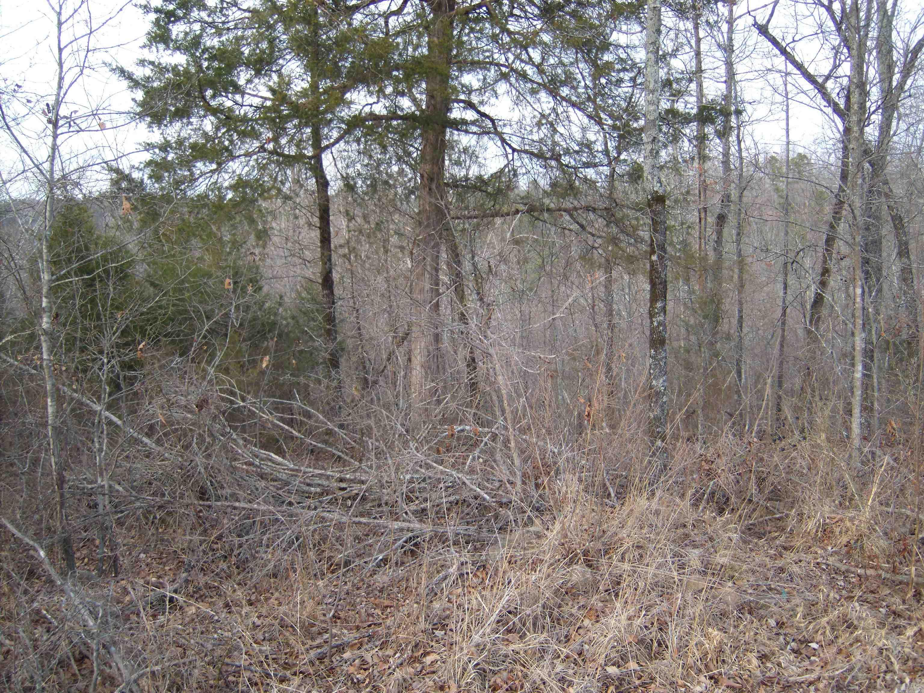 00  Bullard Road  Concord, AR