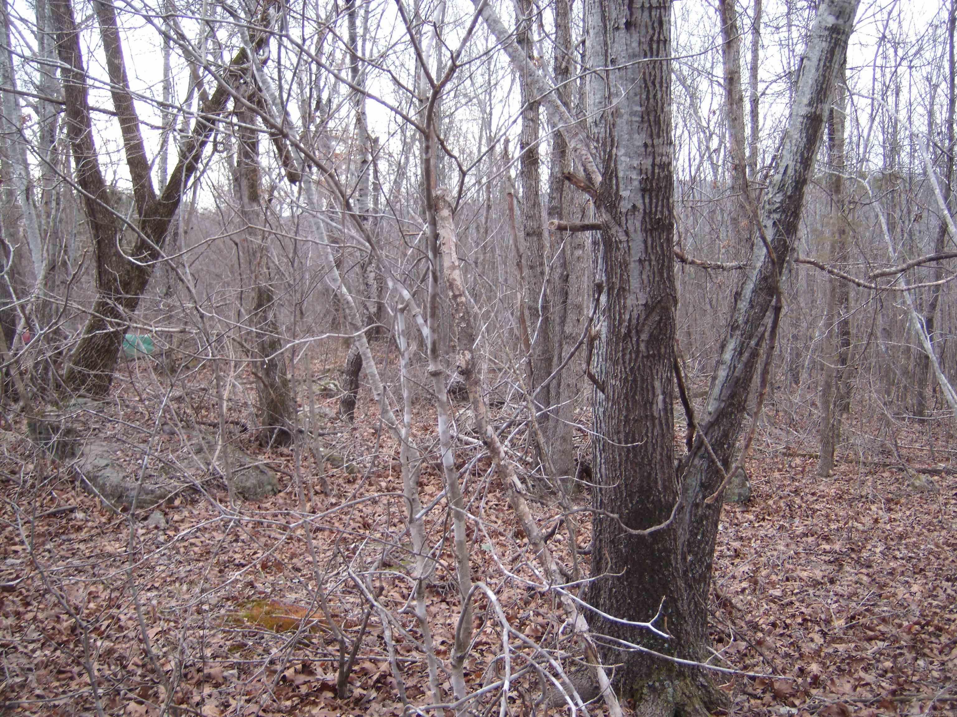 00  Bullard Road  Concord, AR