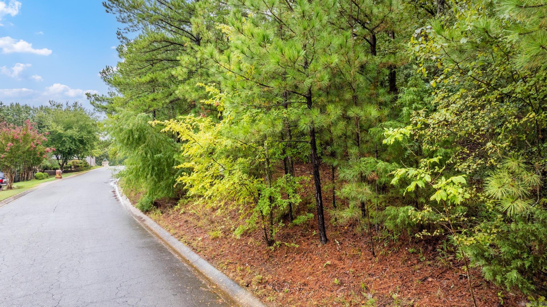 LOT 38  Norfork Drive  Maumelle, AR