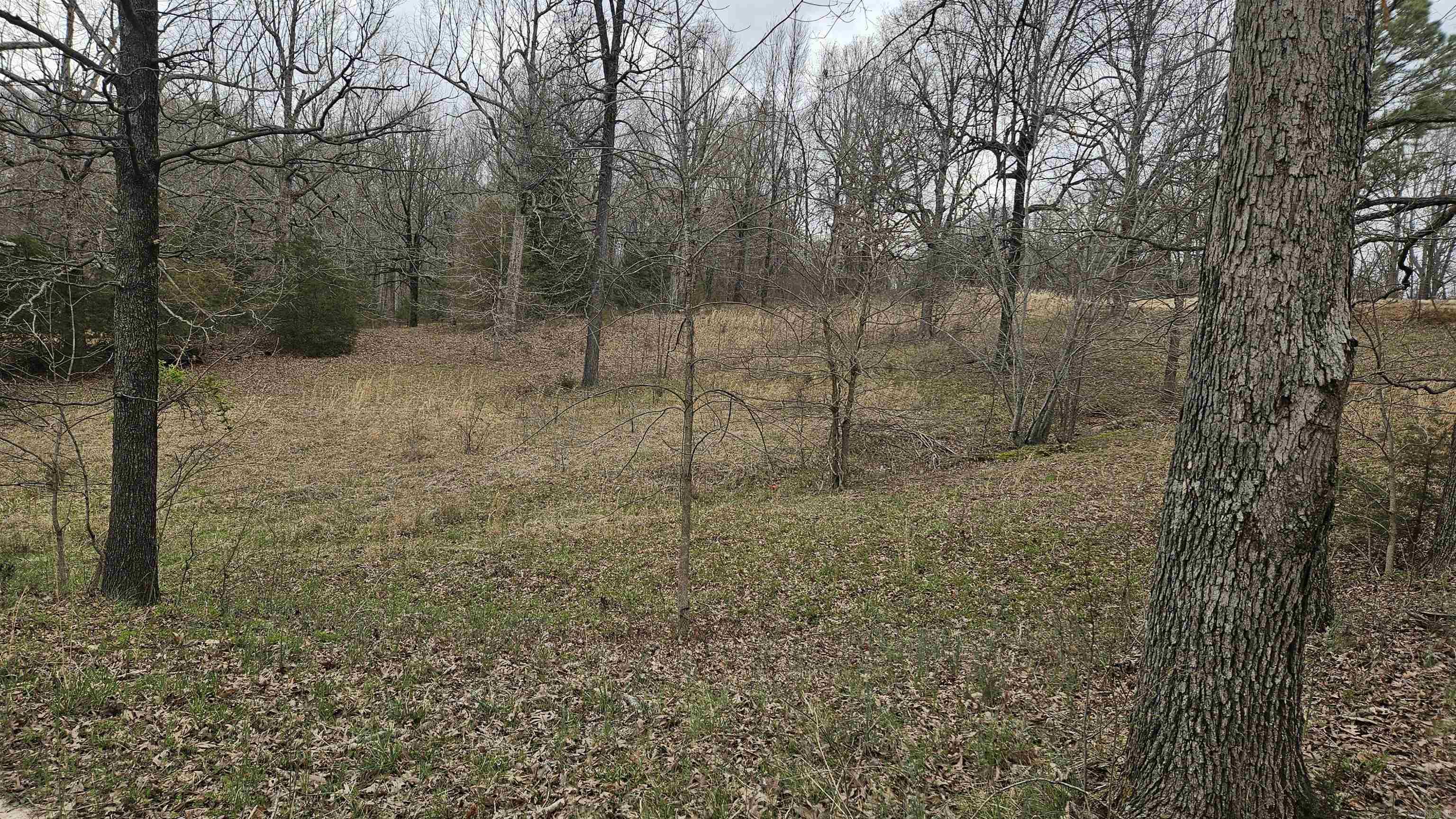 3613  Highway 141  Corning, AR