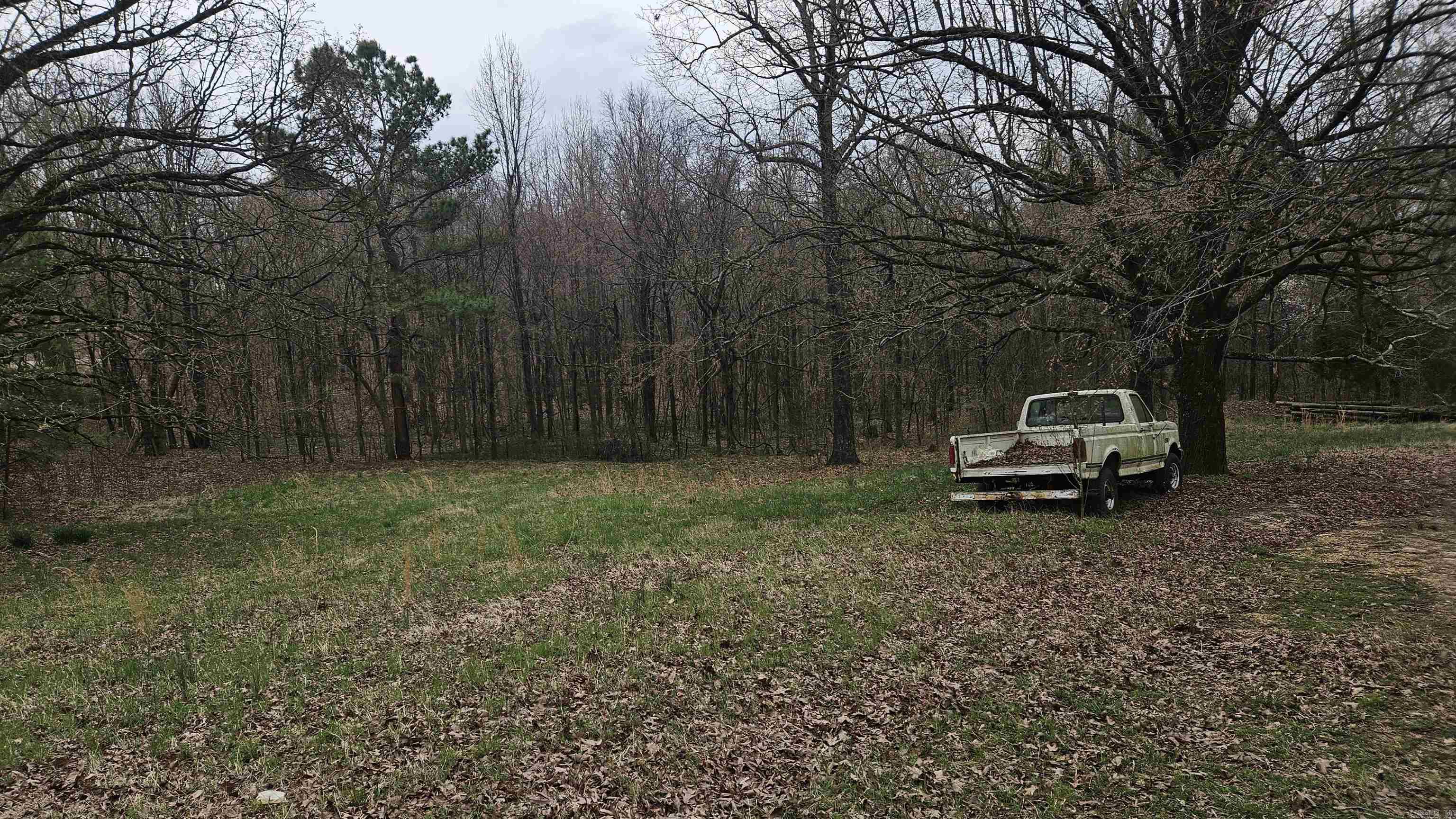 3613  Highway 141  Corning, AR
