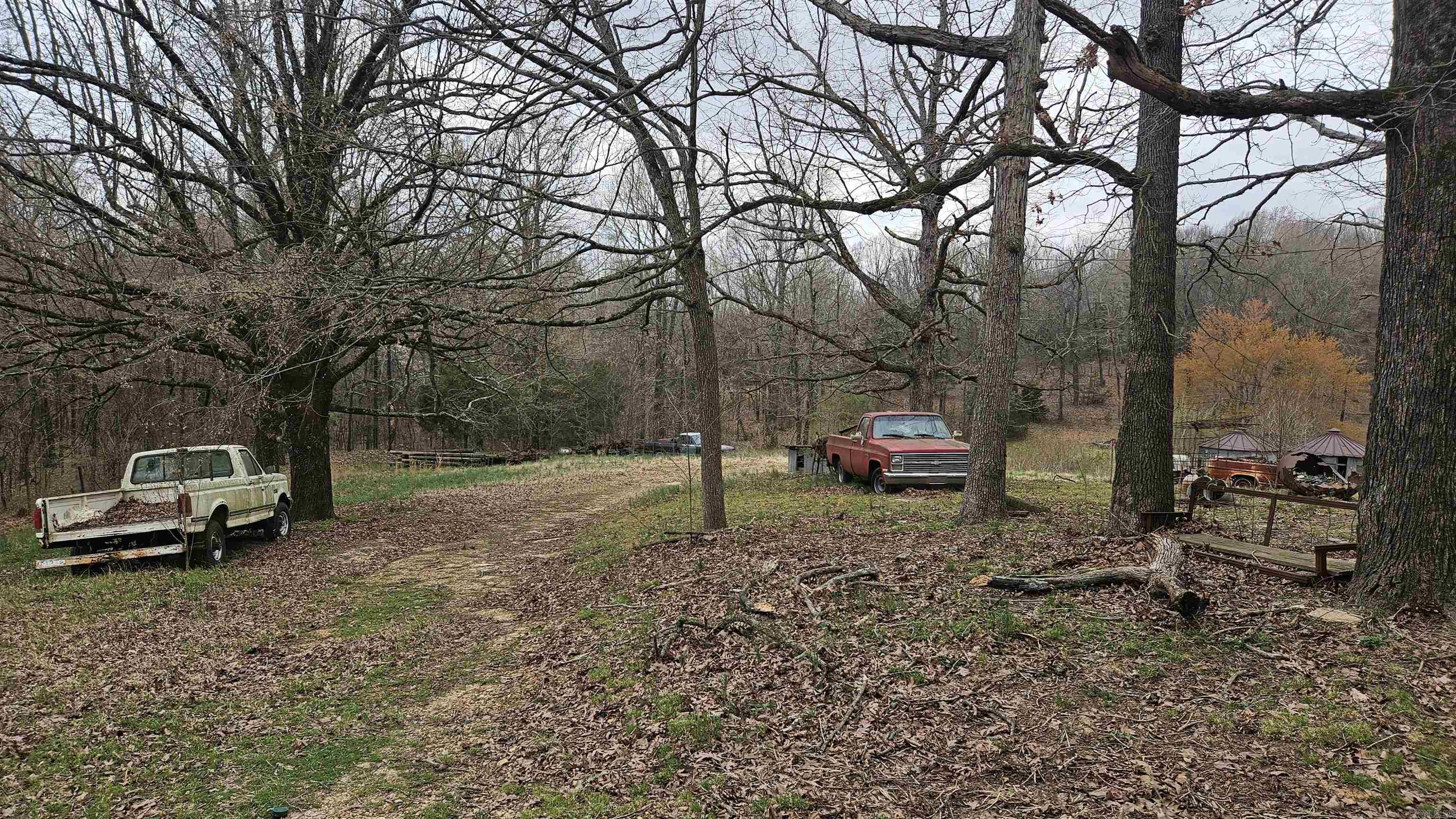 3613  Highway 141  Corning, AR