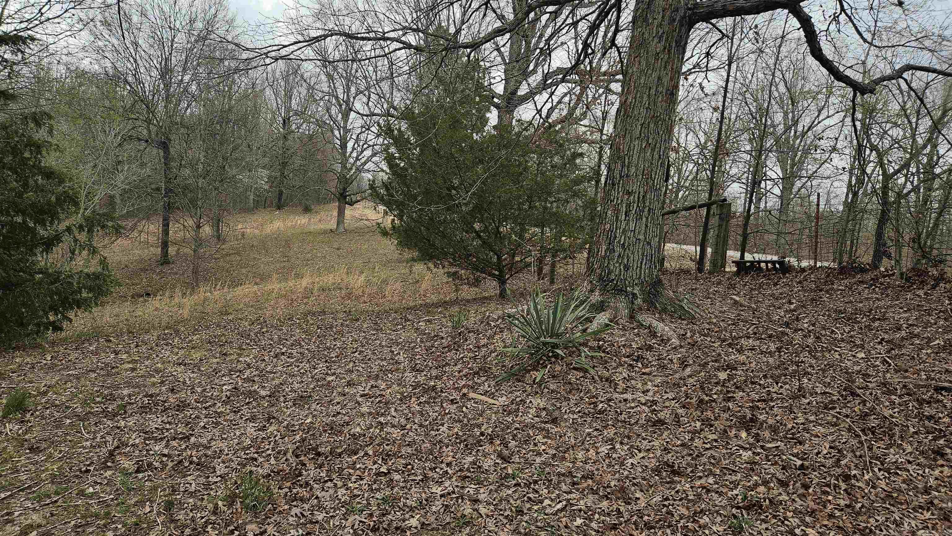 3613  Highway 141  Corning, AR