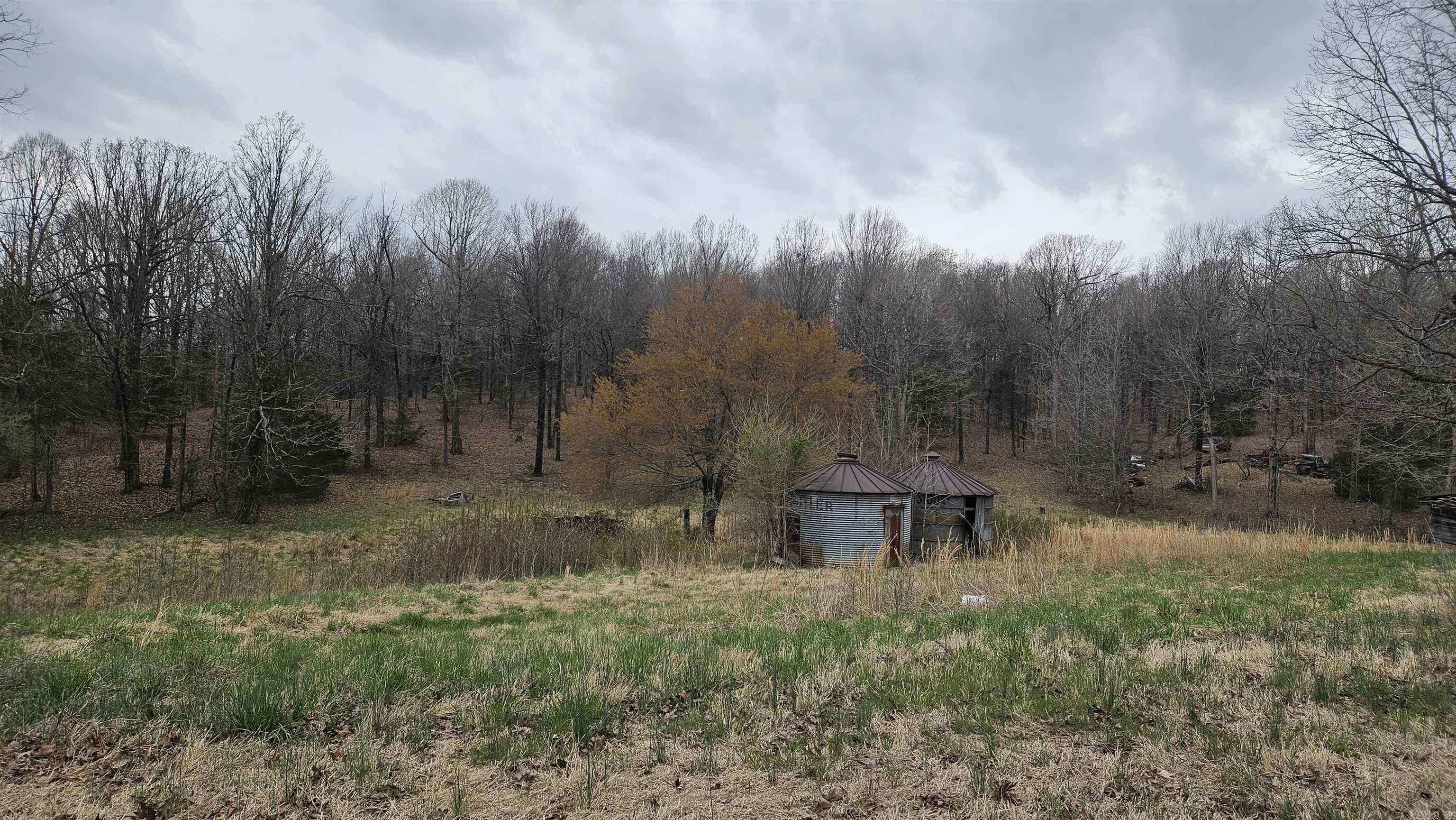 3613  Highway 141  Corning, AR