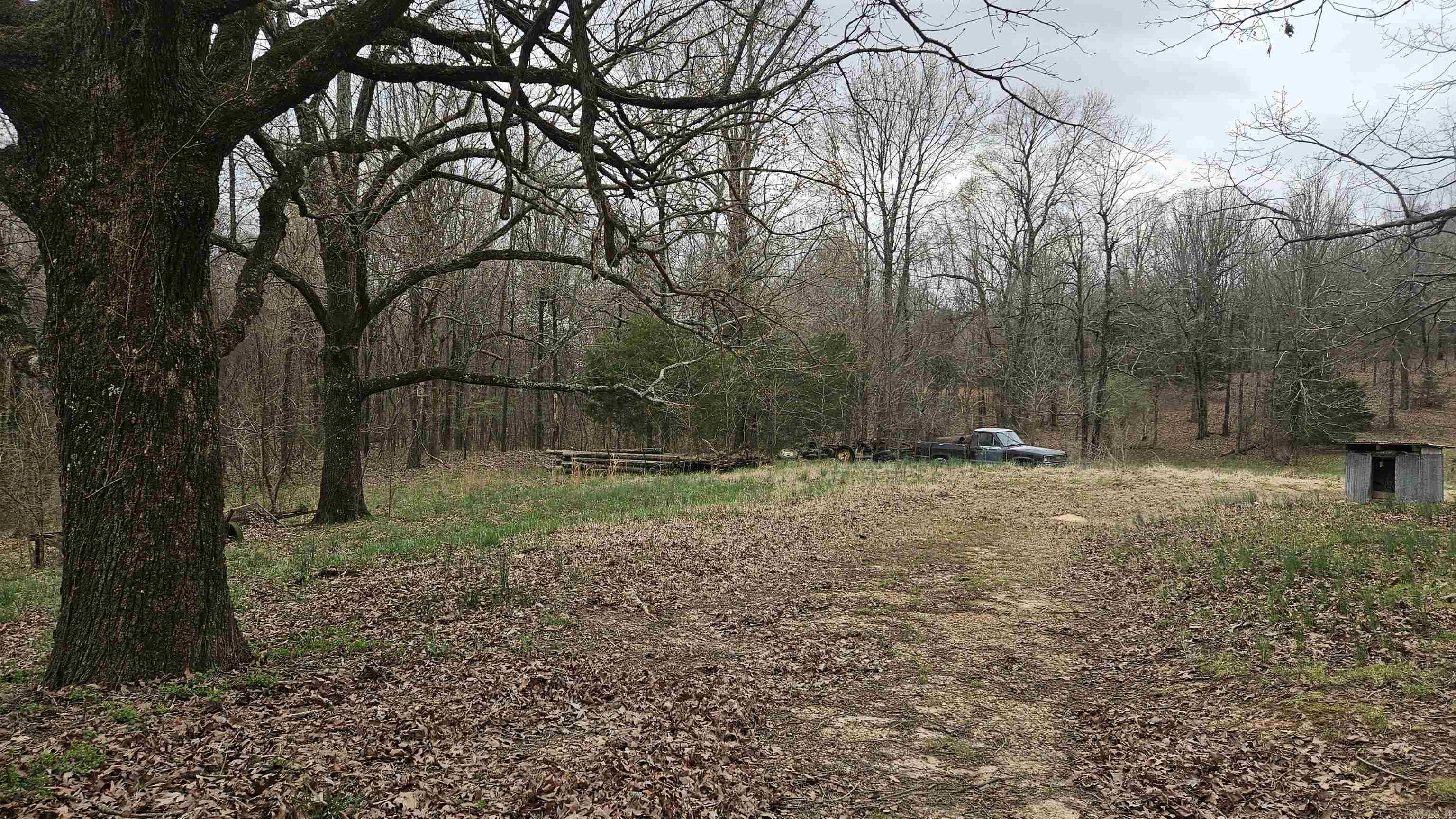 3613  Highway 141  Corning, AR