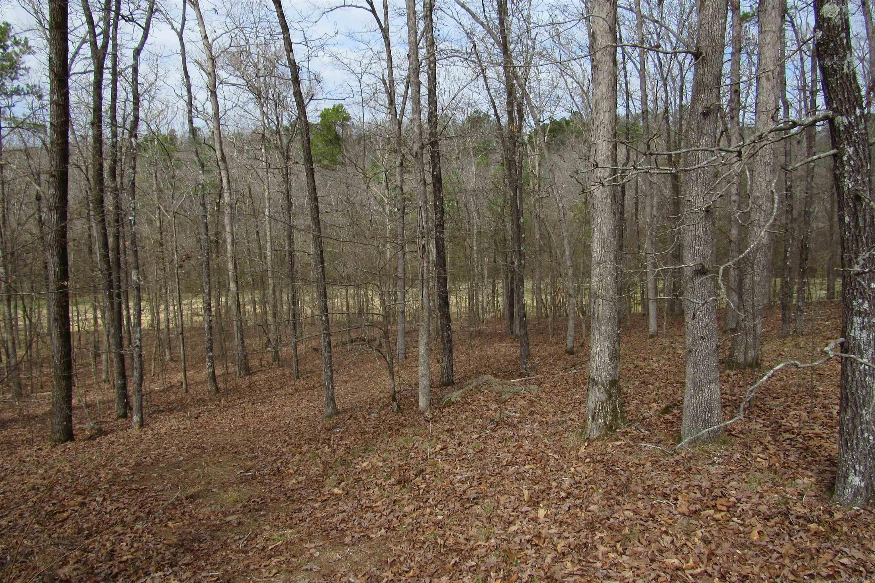 lot 1667A-1671A WESCHESTER  Hot Springs, AR