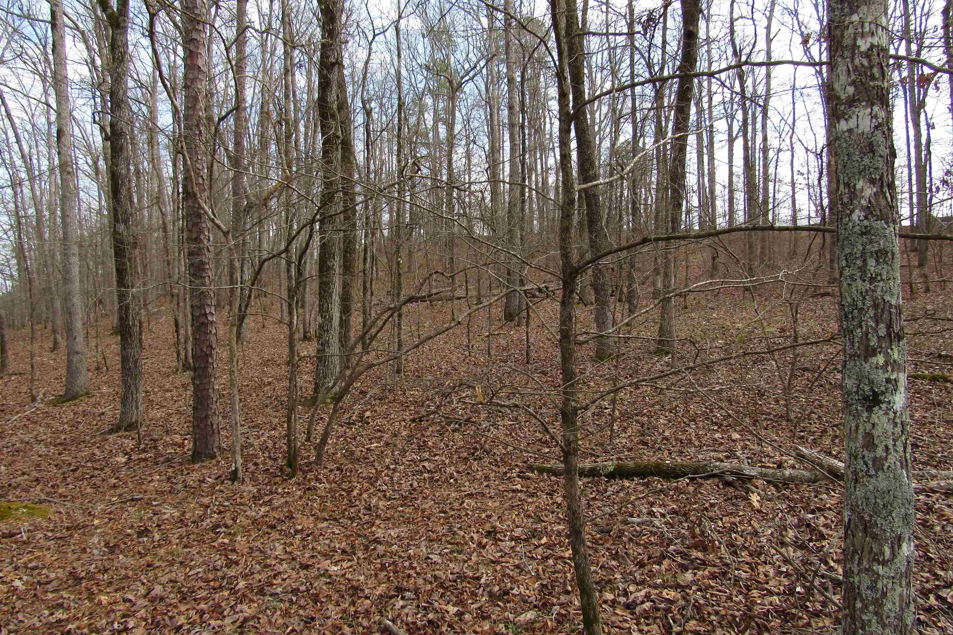 lot 1667A-1671A WESCHESTER  Hot Springs, AR