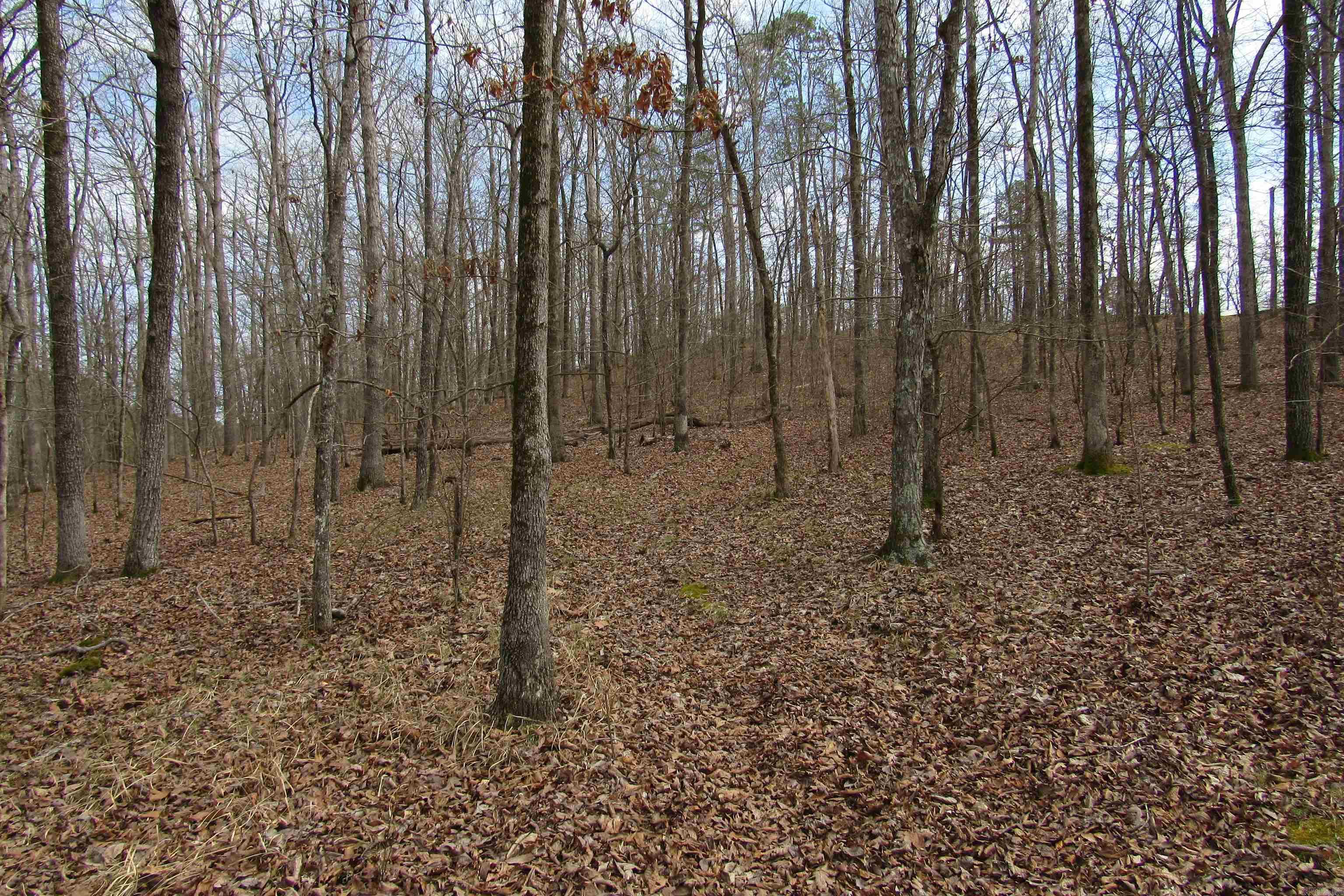 lot 1667A-1671A WESCHESTER  Hot Springs, AR