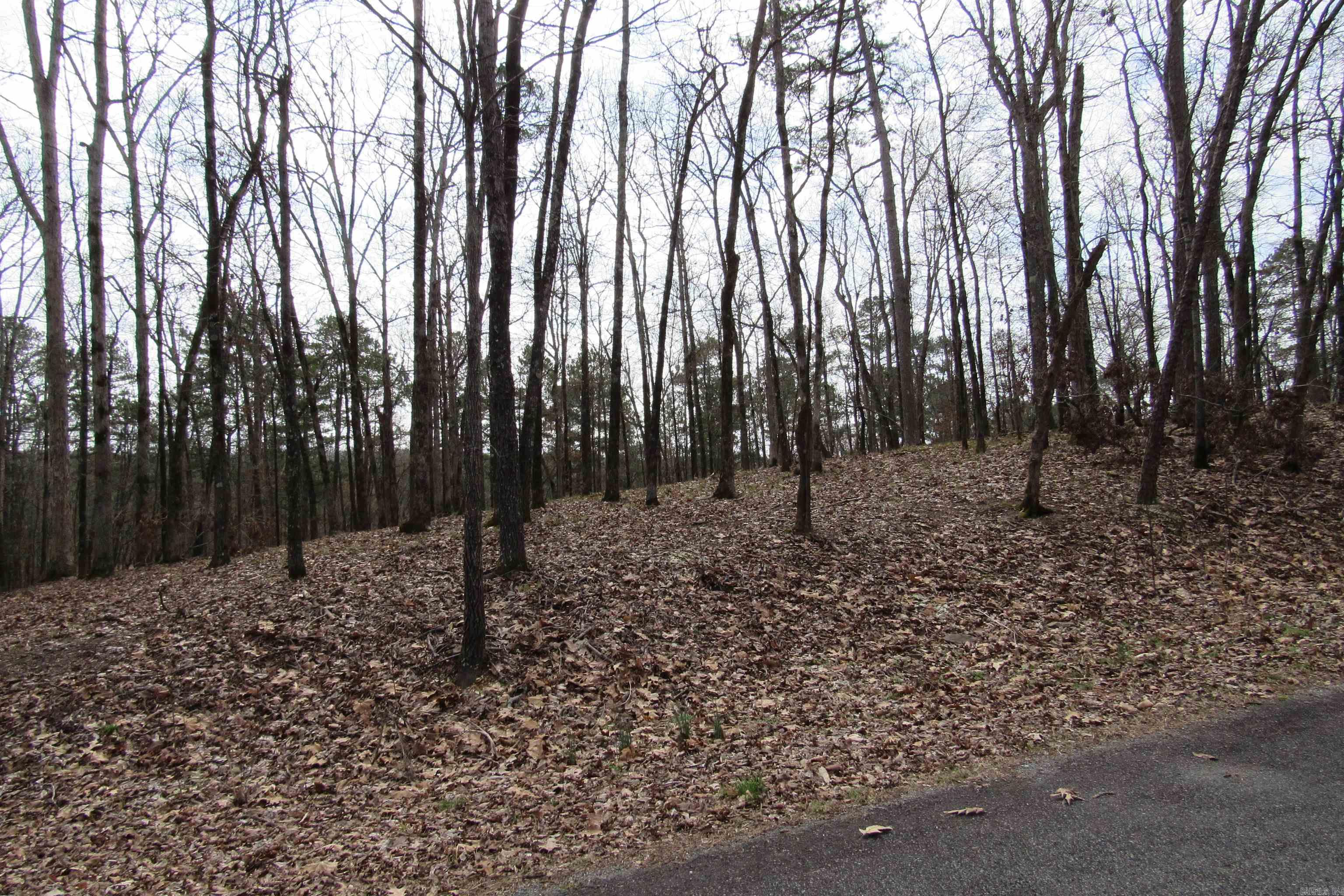 lot 1667A-1671A WESCHESTER  Hot Springs, AR