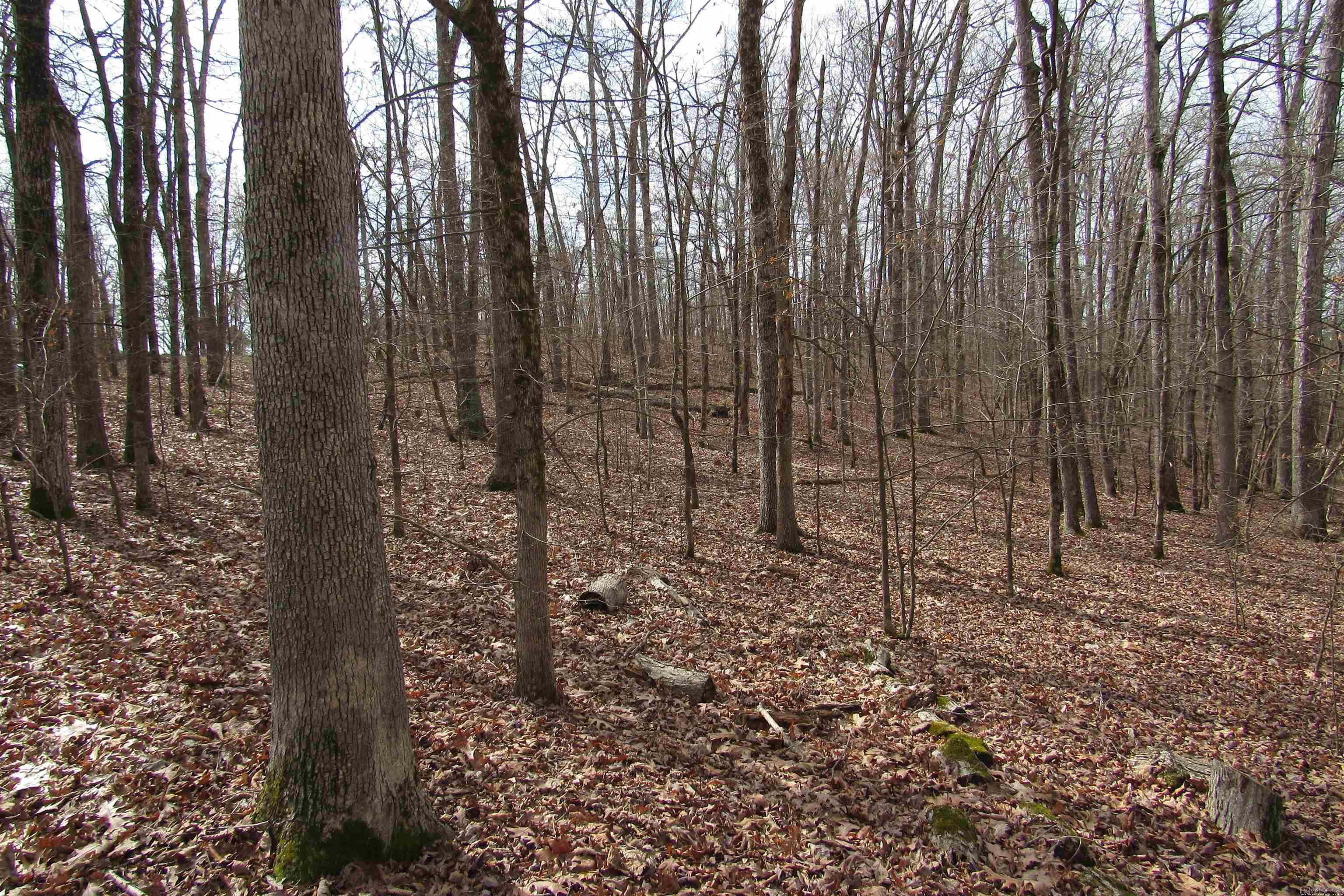 lot 1667A-1671A WESCHESTER  Hot Springs, AR