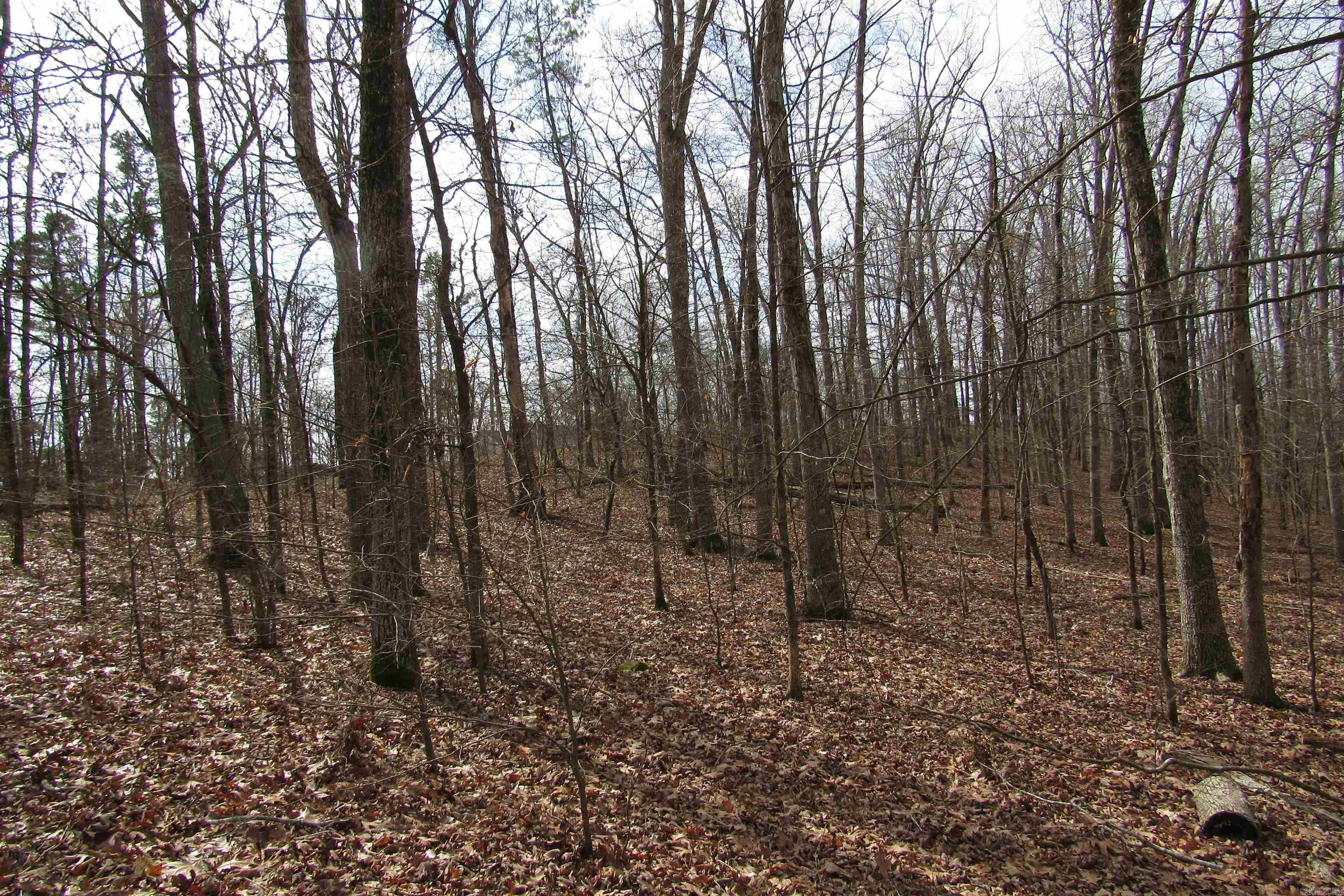 lot 1667A-1671A WESCHESTER  Hot Springs, AR