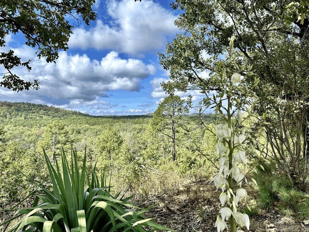 47  Chigger Hill  Story, AR