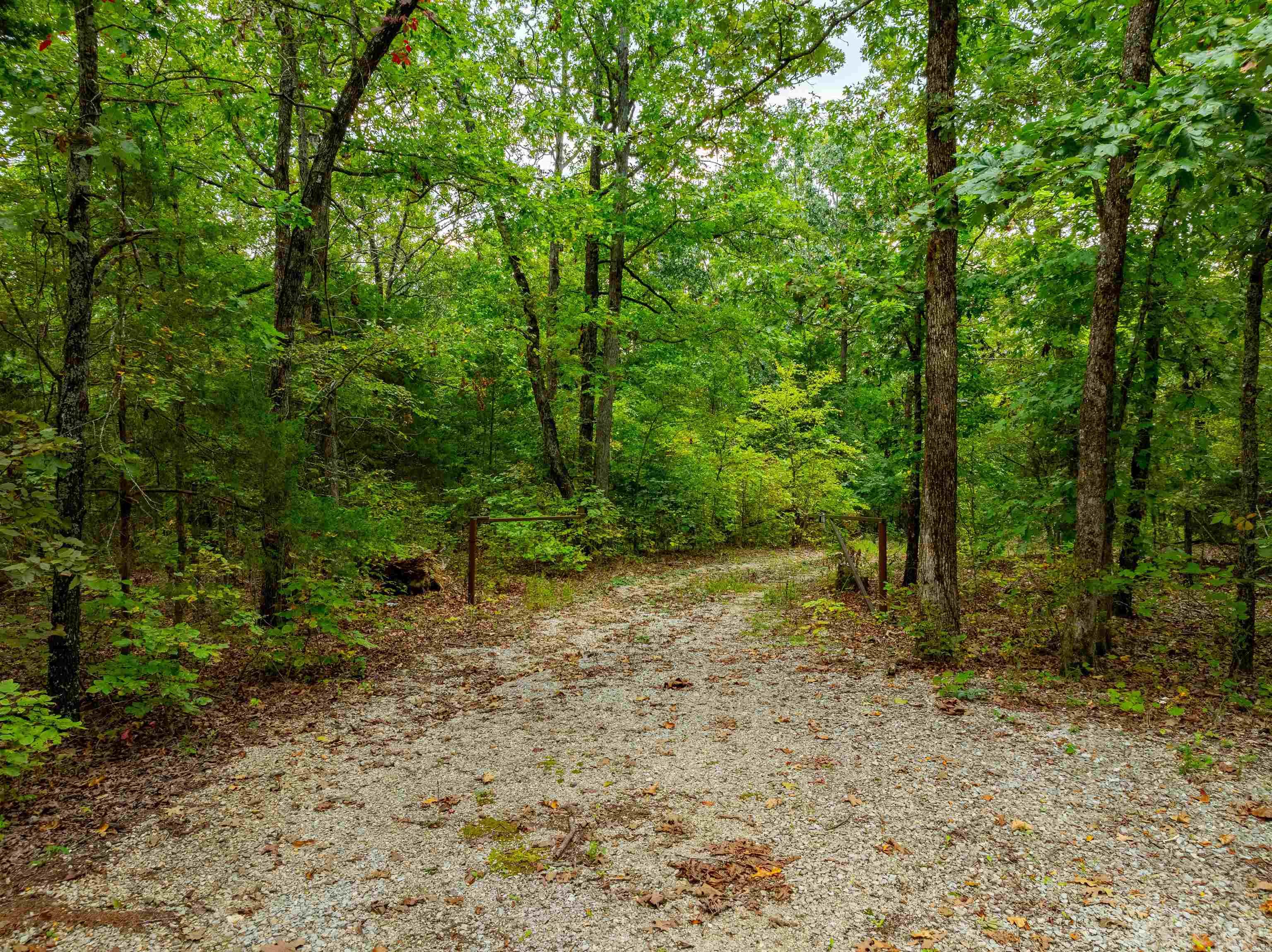 0  Hwy 90 W  Ravenden, AR