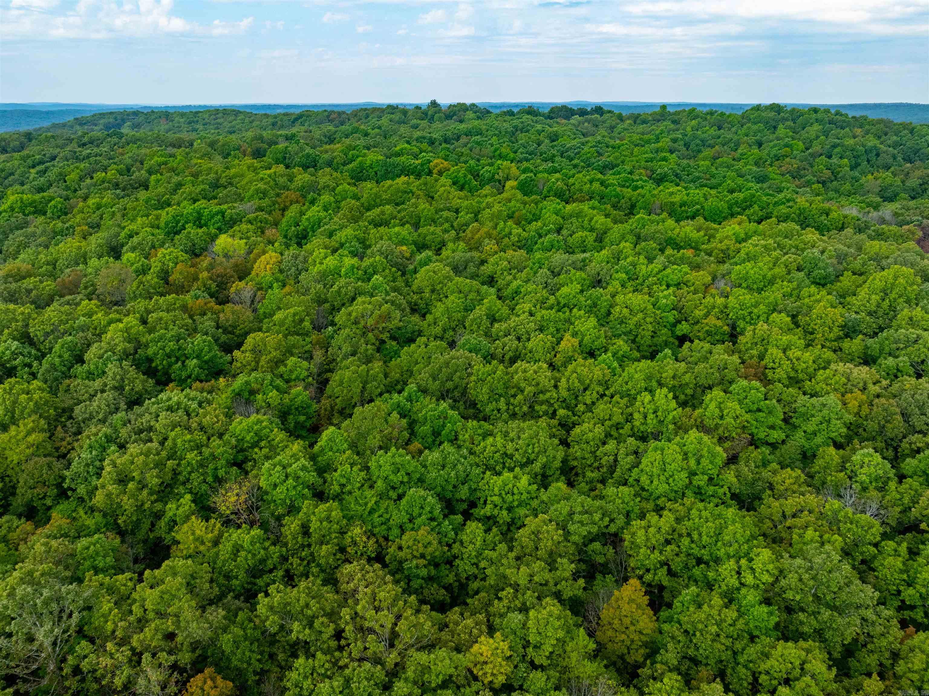 0  Hwy 90 W  Ravenden, AR