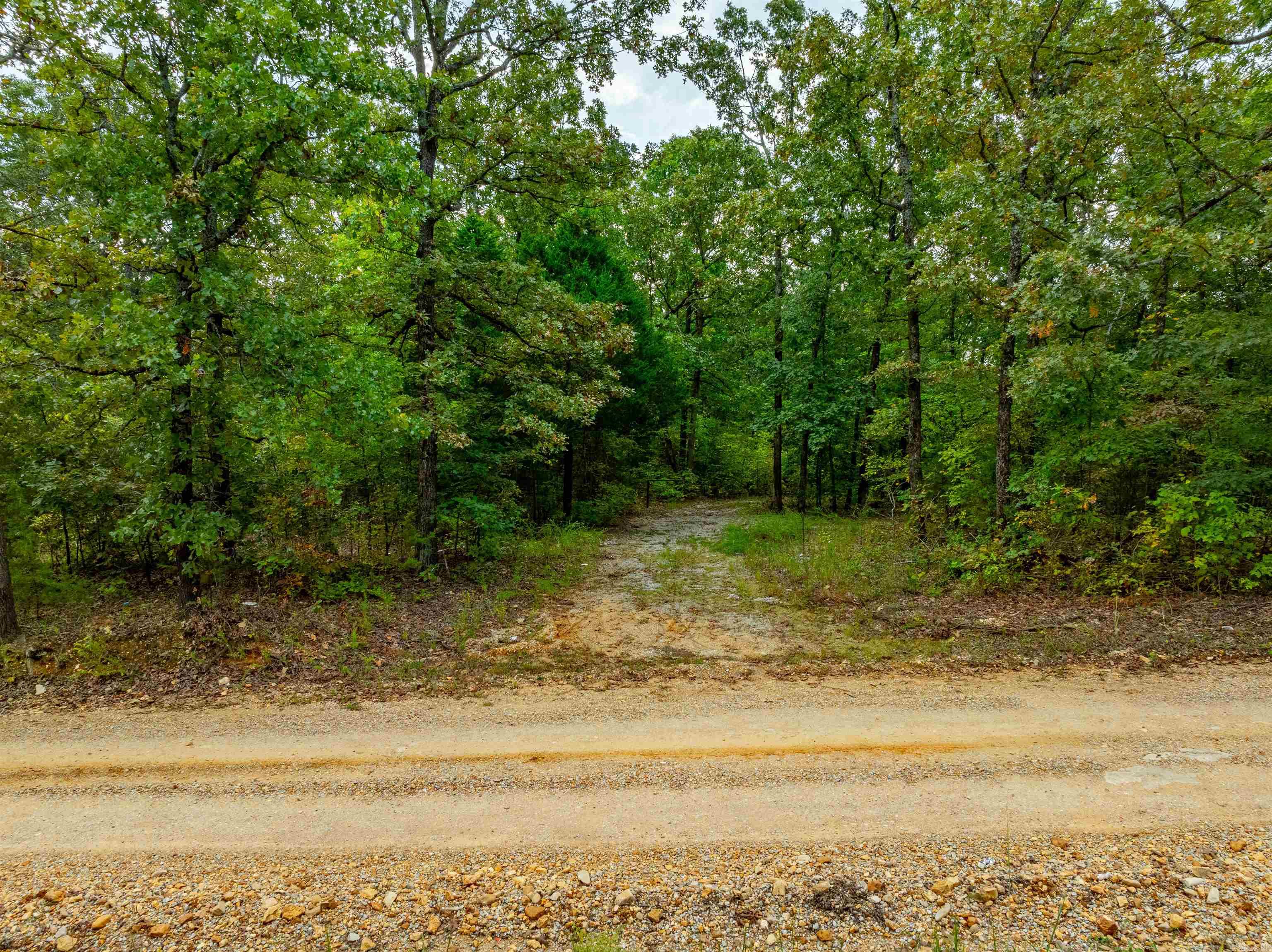 0  Hwy 90 W  Ravenden, AR