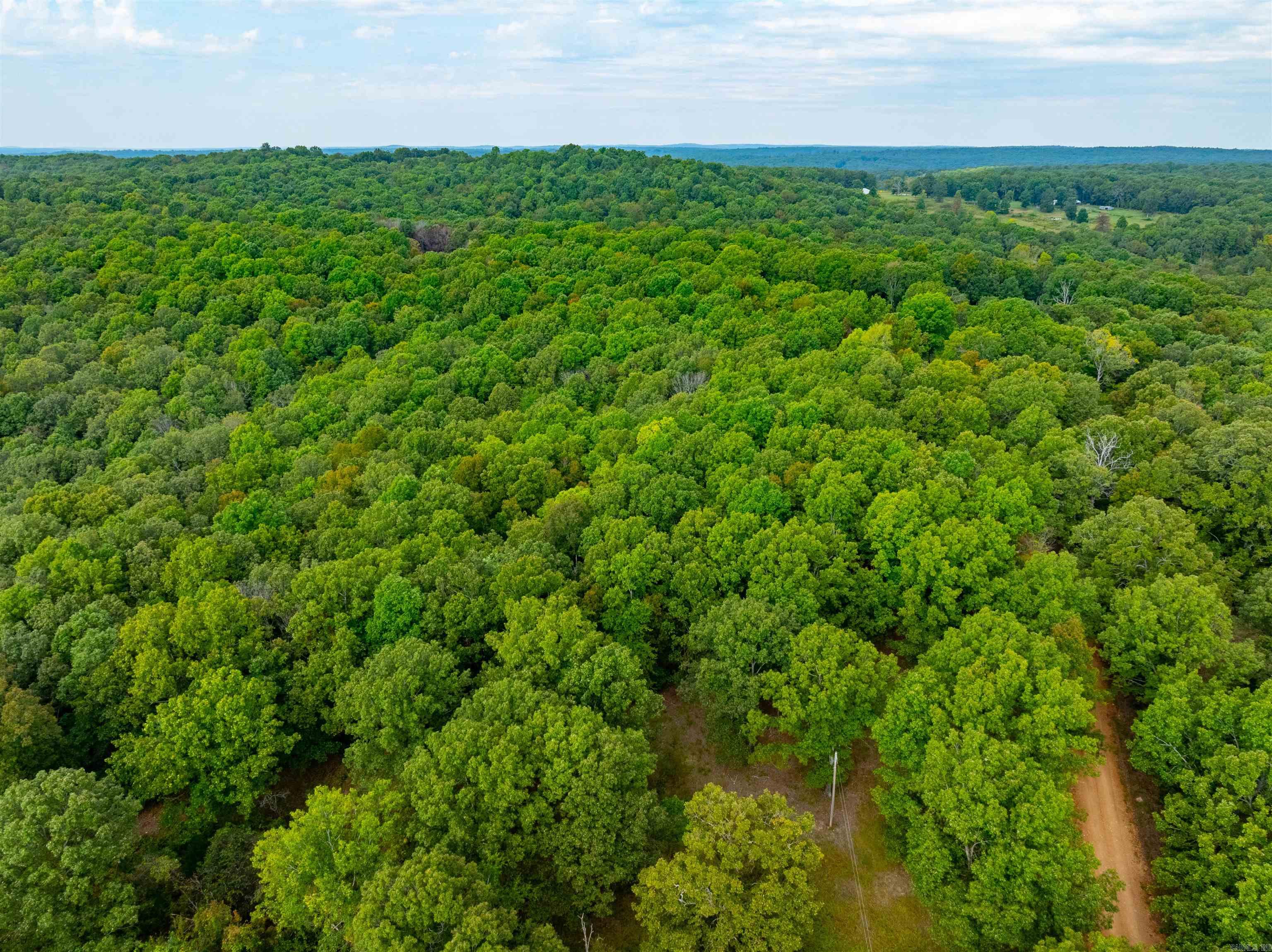 0  Hwy 90 W  Ravenden, AR