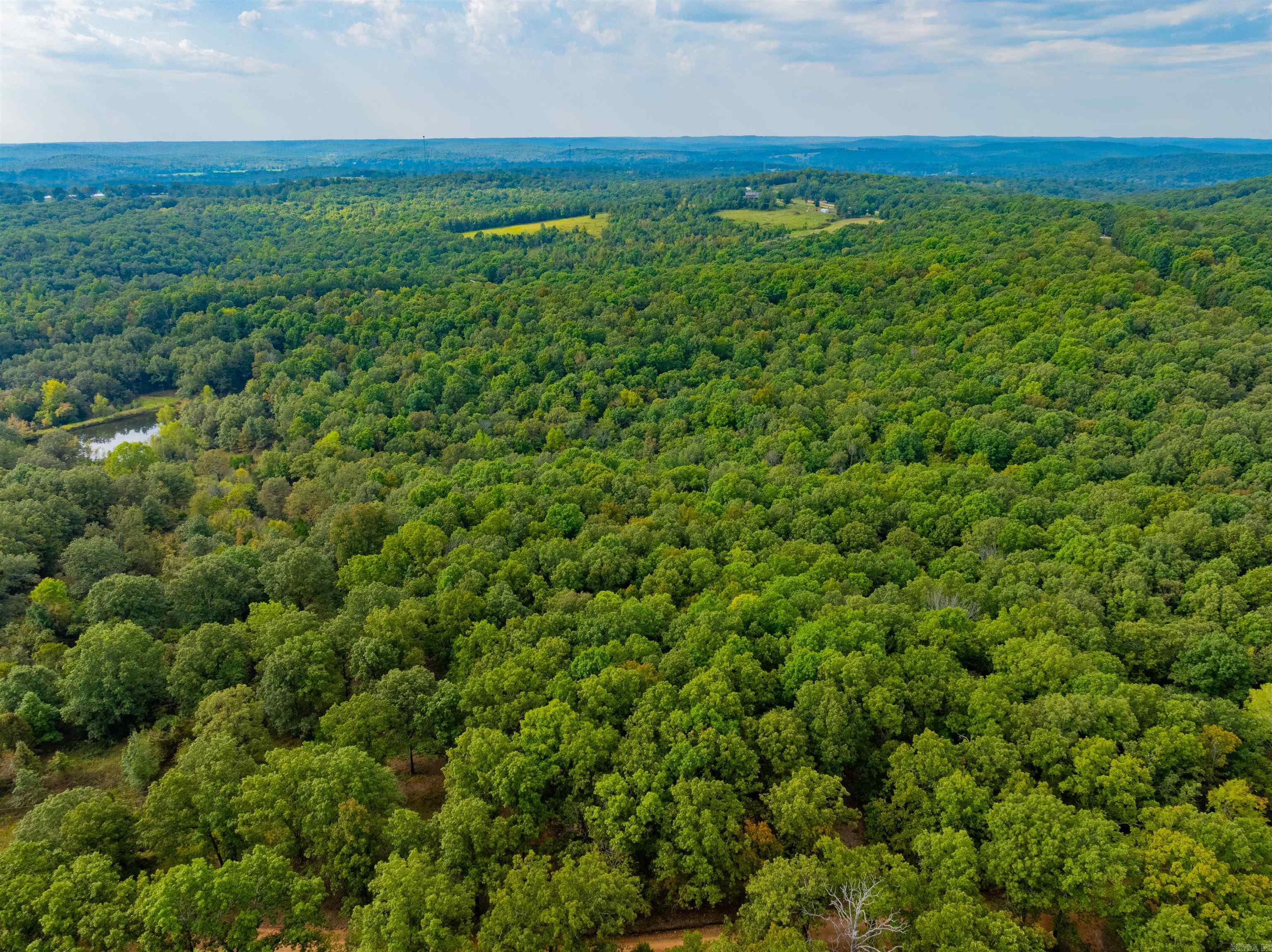 0  Hwy 90 W  Ravenden, AR