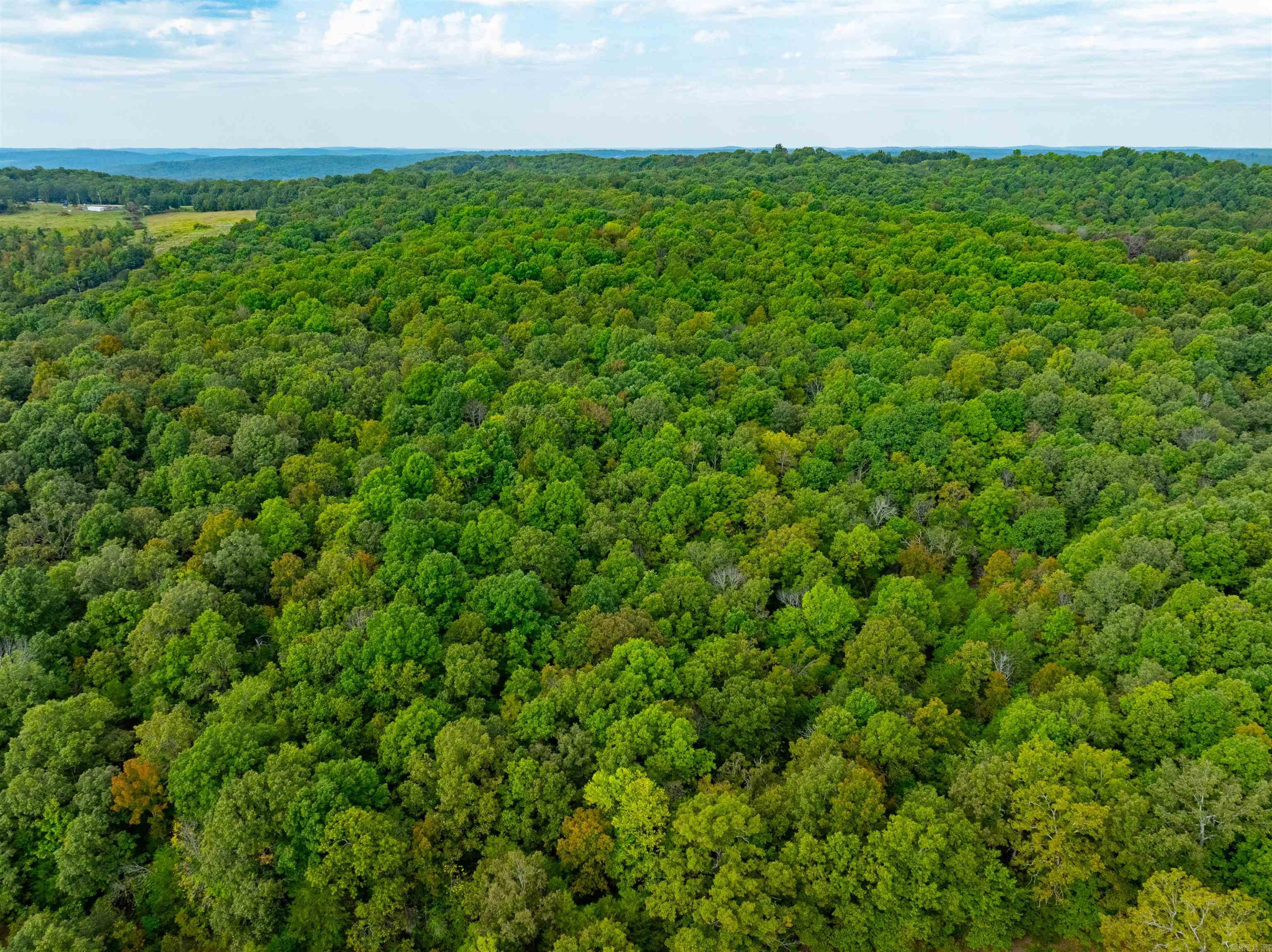 0  Hwy 90 W  Ravenden, AR