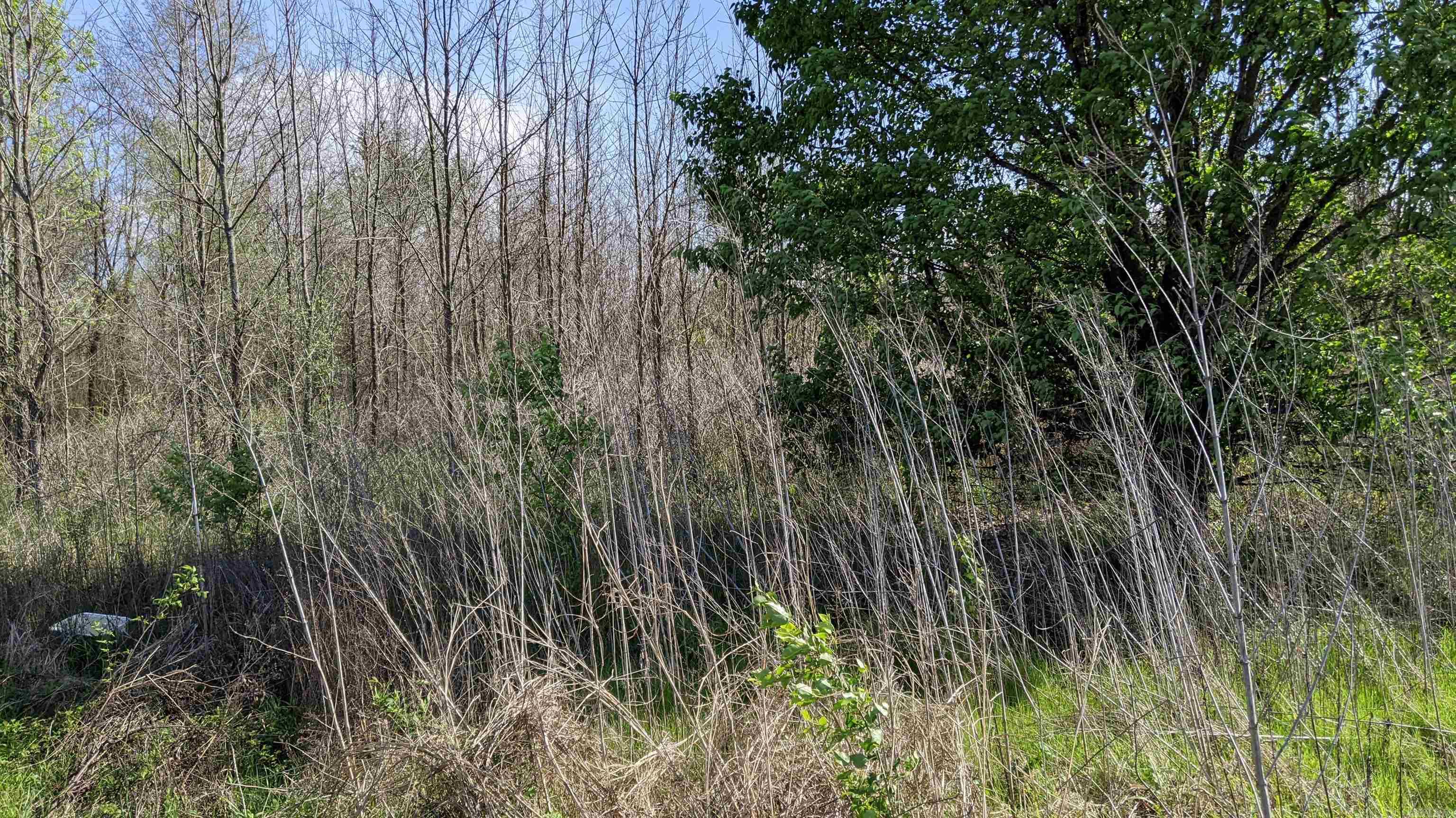 257  Martin  Scott, AR