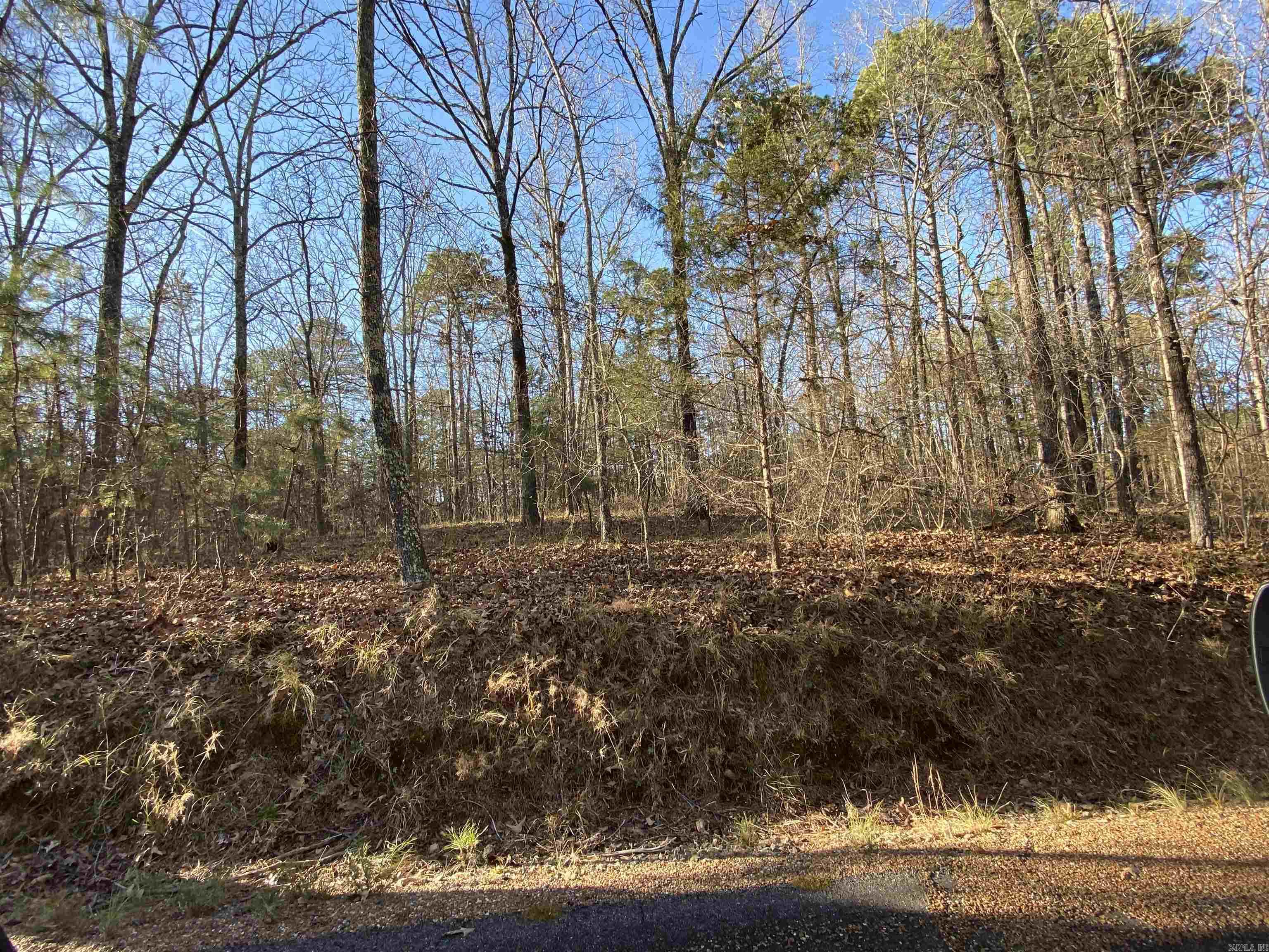 425 KUSTRIN DR. Drasco, AR 72530