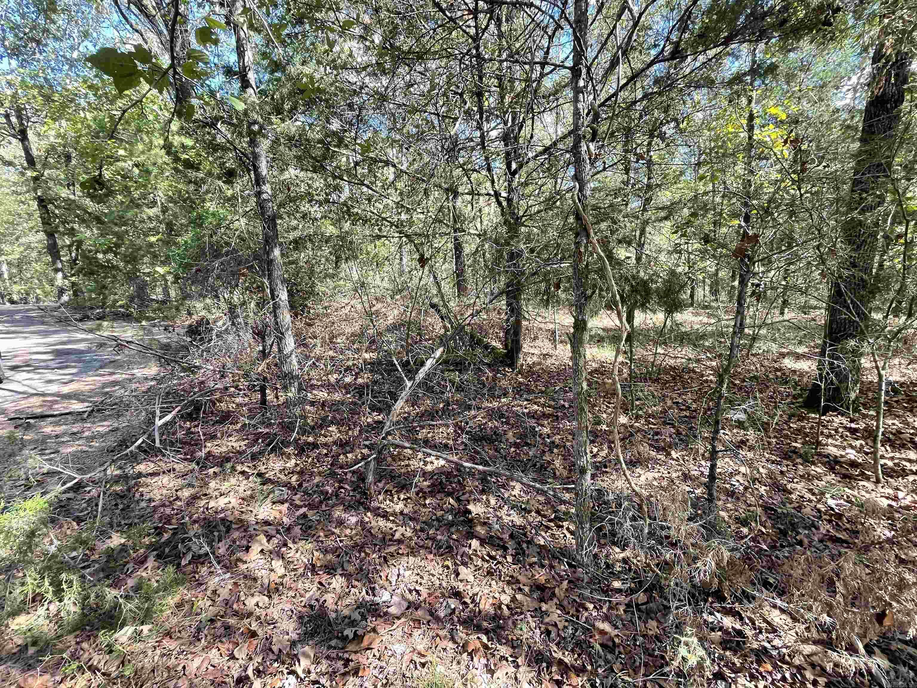 450 KUSTRIN DR. Drasco, AR 72530