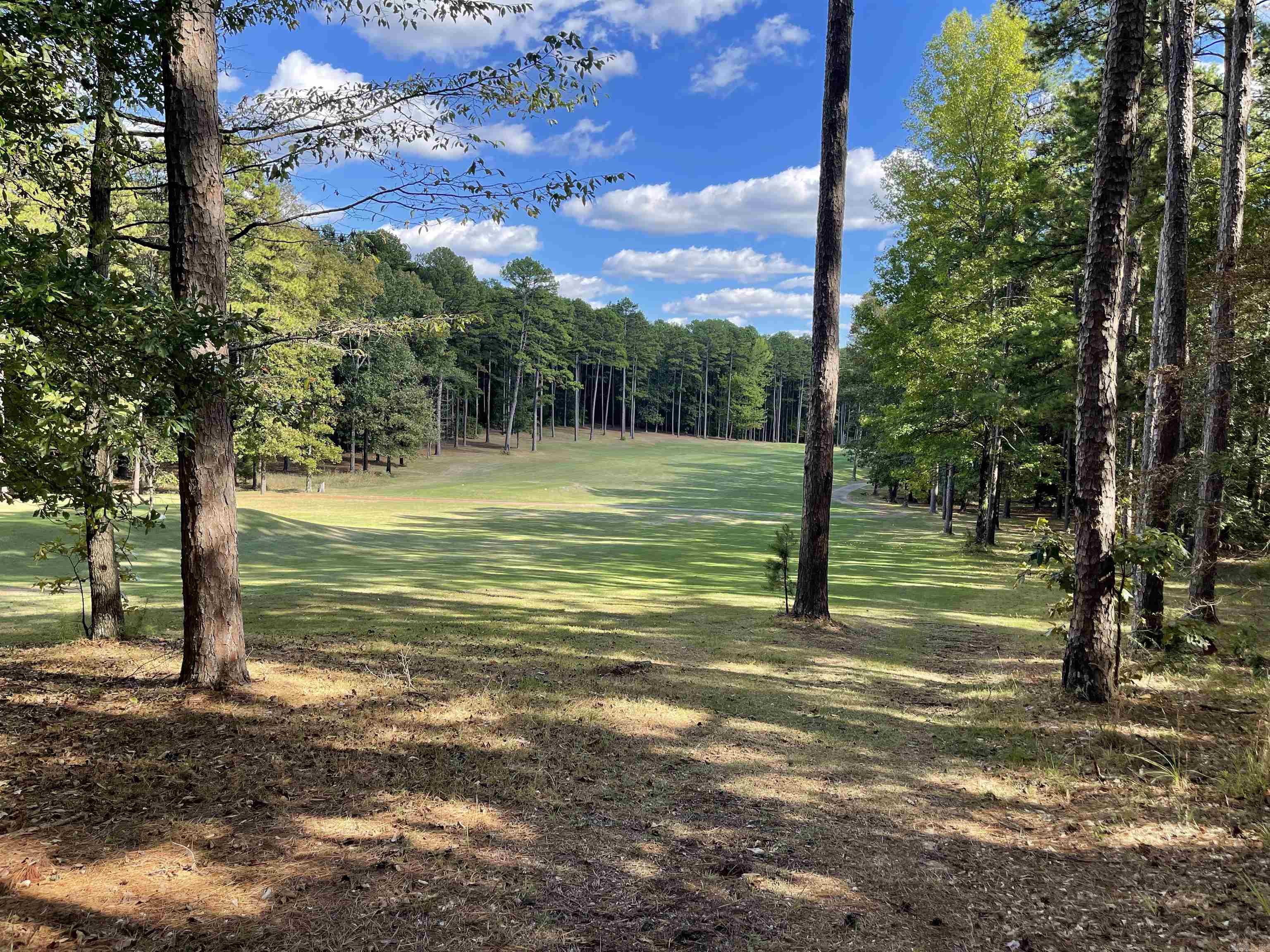 456 KUSTRIN DR. Drasco, AR 72530