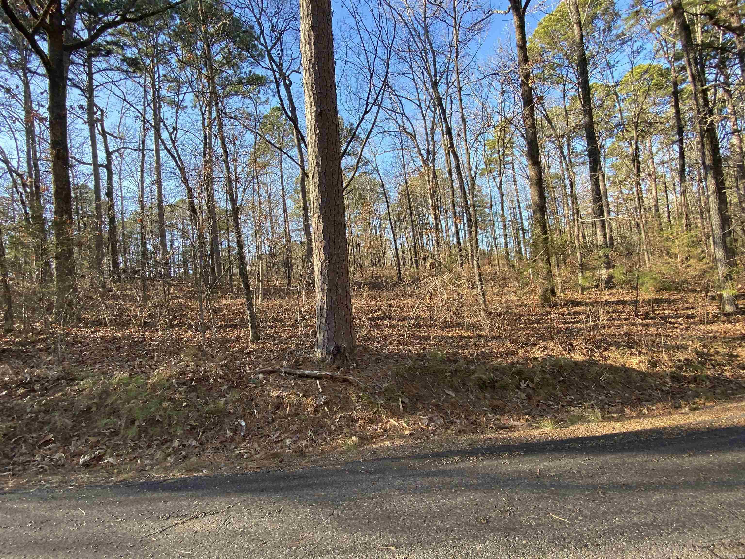 456 KUSTRIN DR. Drasco, AR 72530